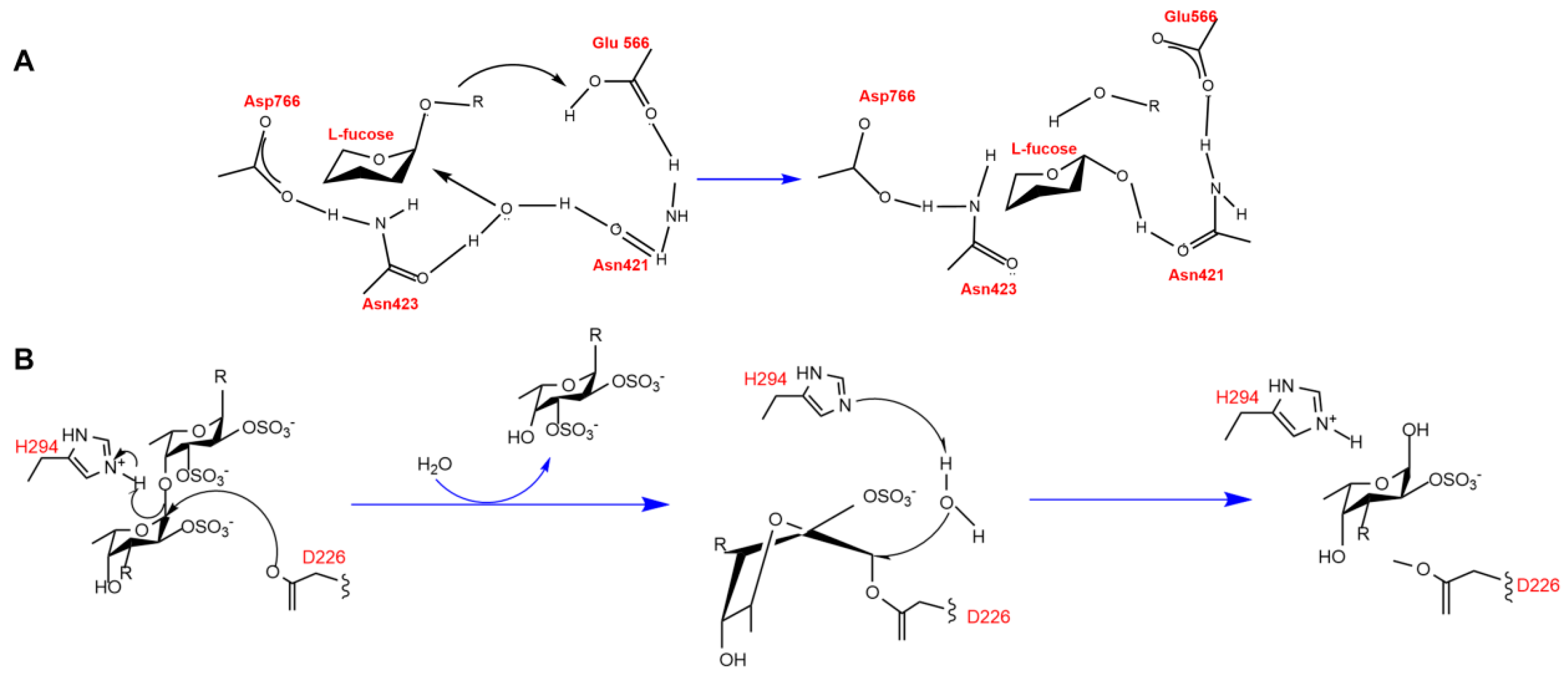 Marinedrugs 23 00097 g005 Marinedrugs 23 00097 g005