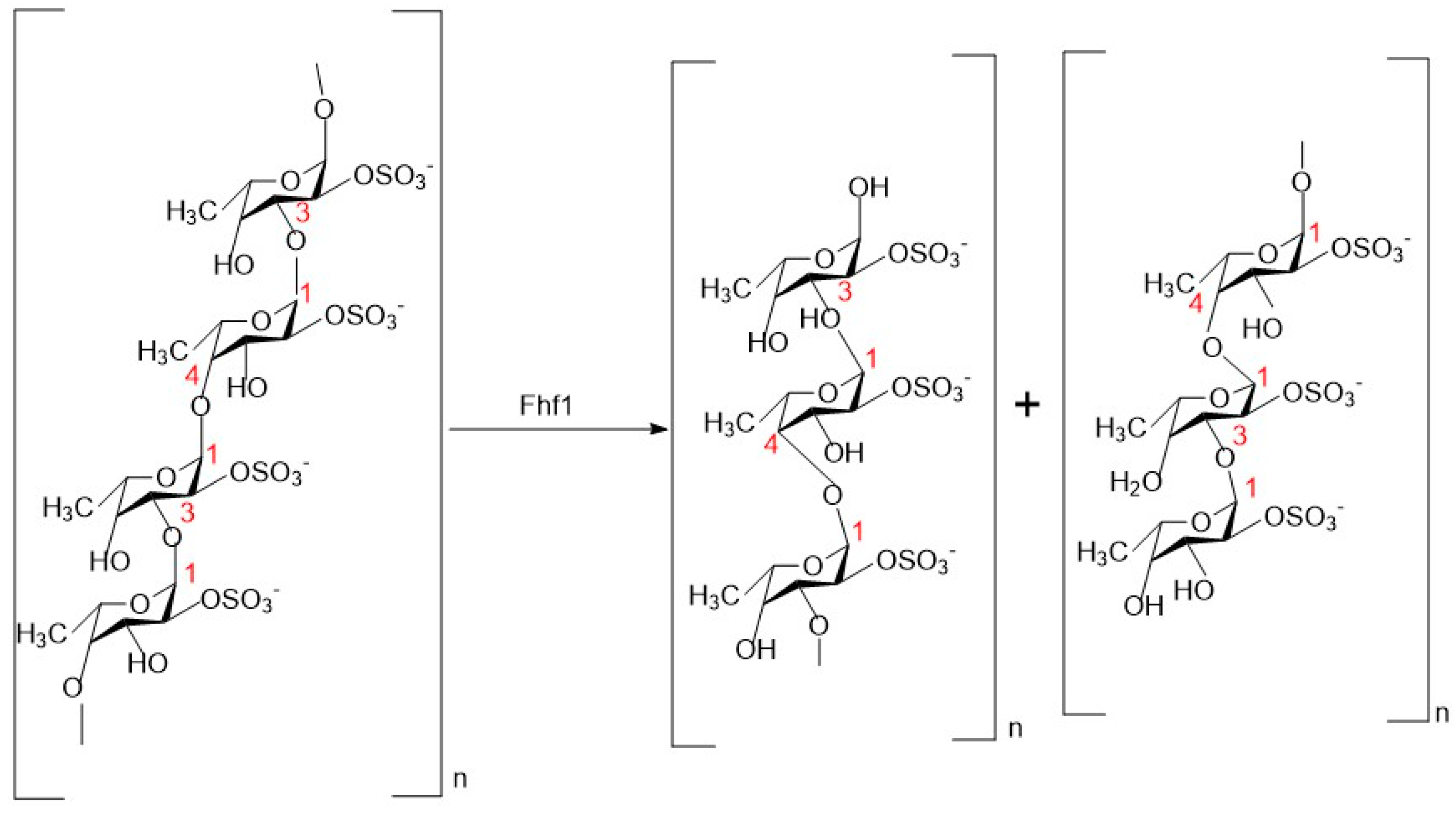 Marinedrugs 23 00097 g006 Marinedrugs 23 00097 g006