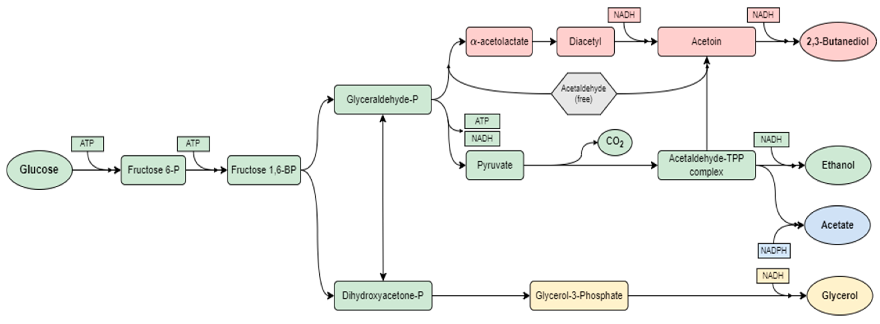 Marinedrugs 23 00106 g002