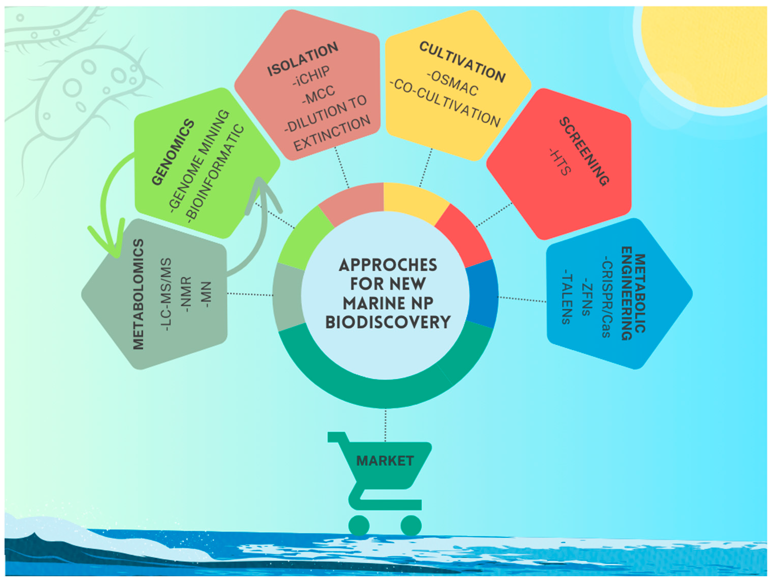 Marinedrugs 23 00116 g001