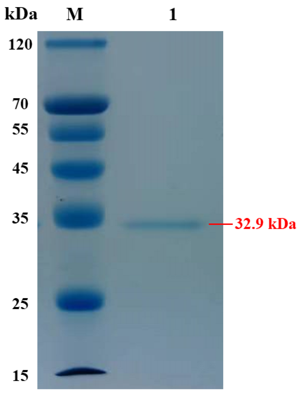 Marinedrugs 23 00124 g003