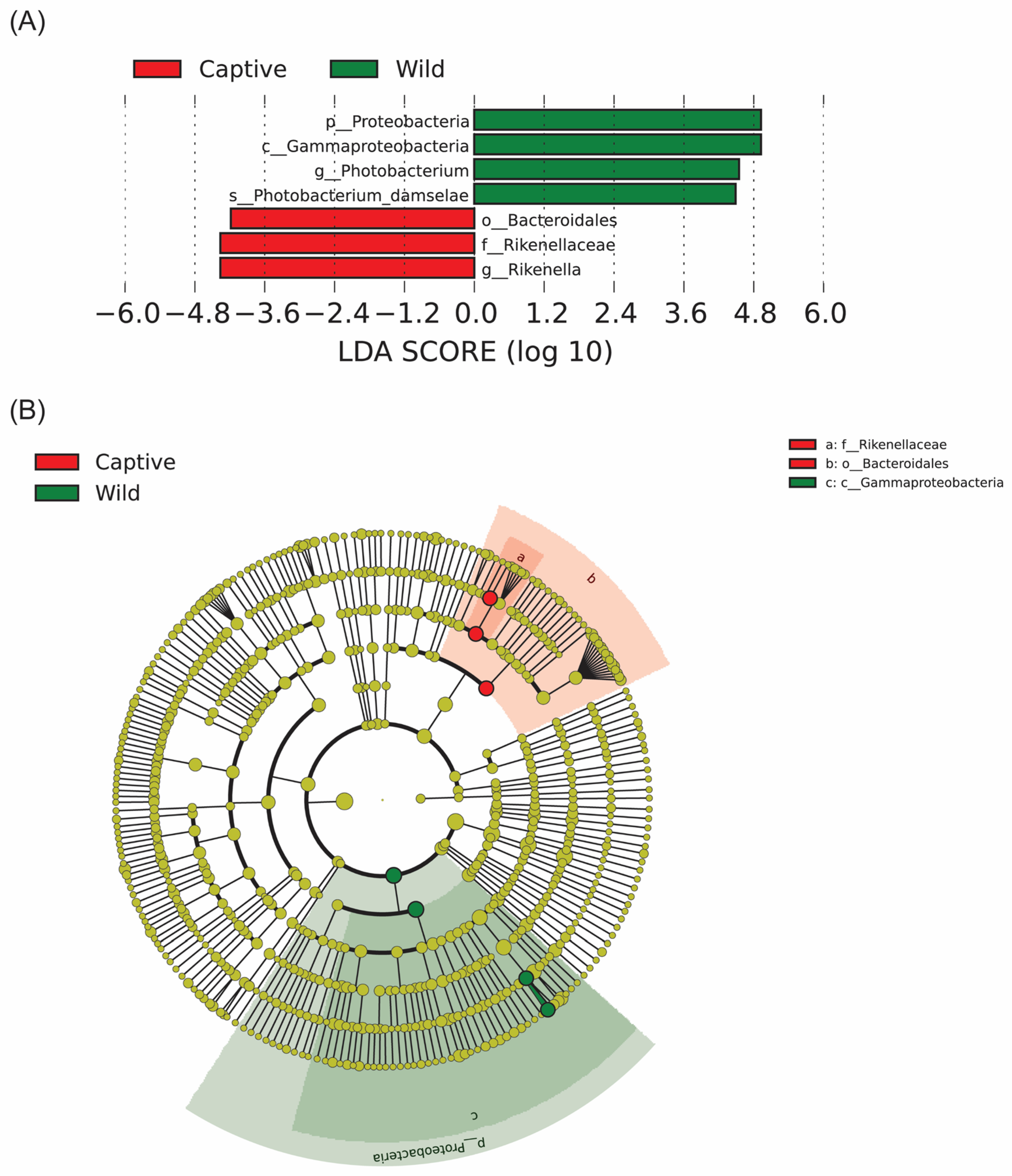 Marinedrugs 23 00140 g007
