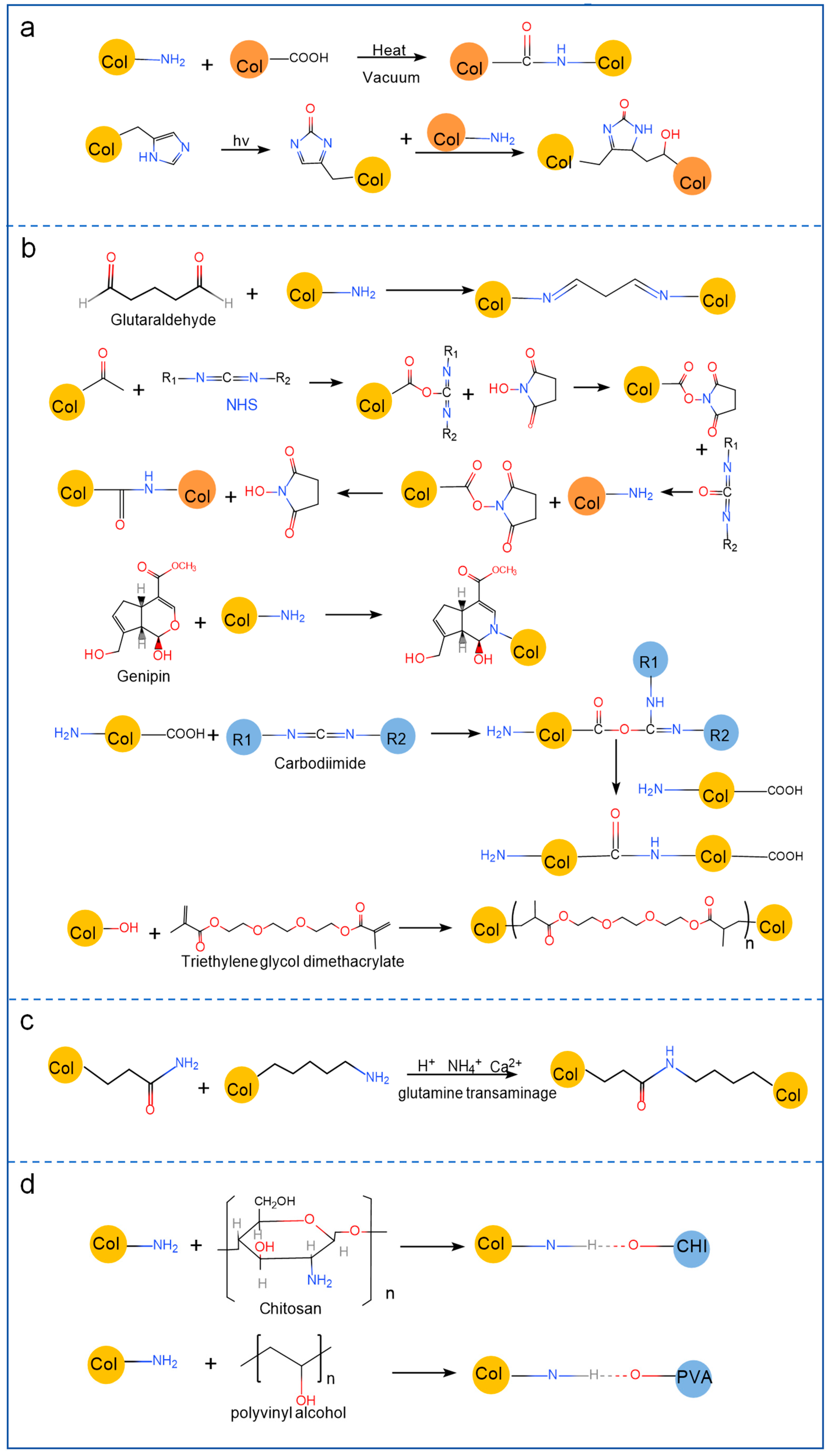 Marinedrugs 23 00151 g002