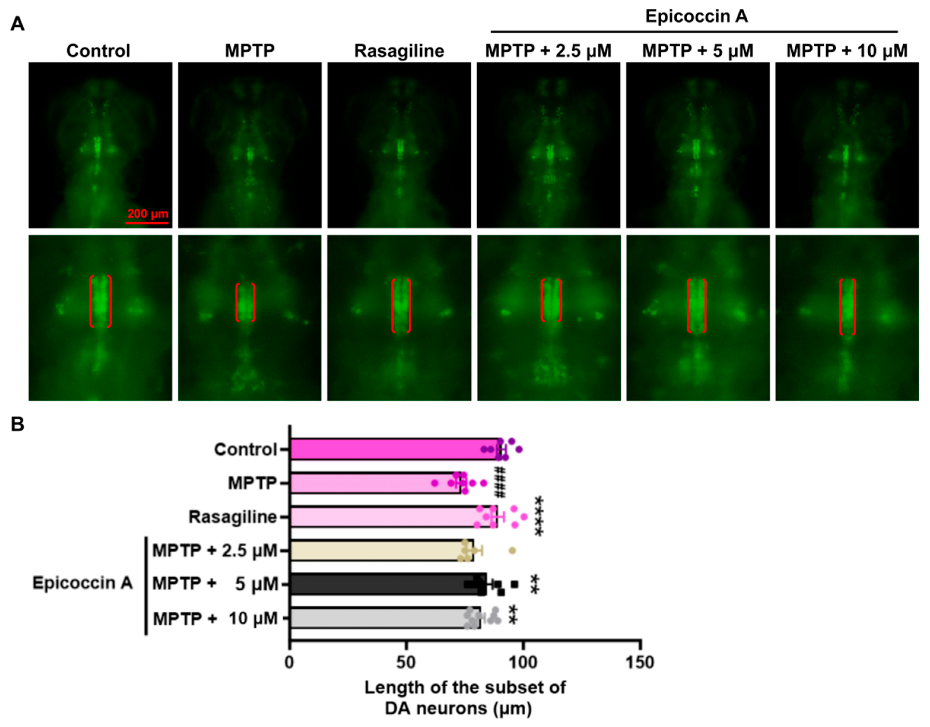 Marinedrugs 23 00175 g002