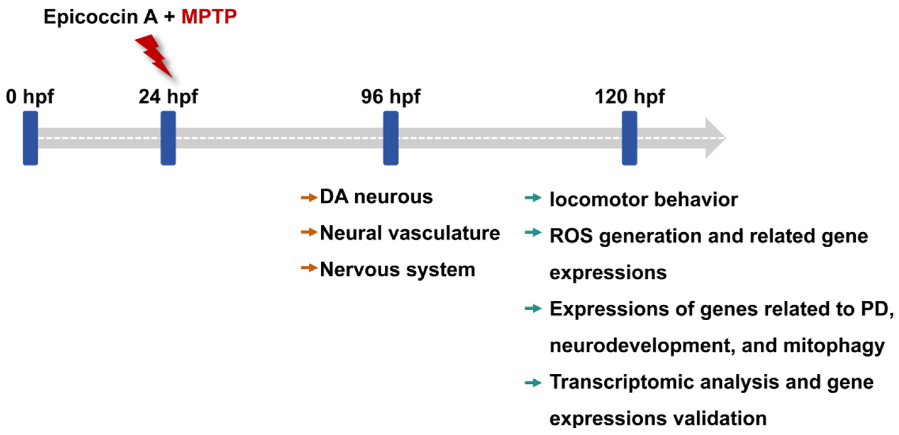 Marinedrugs 23 00175 g013