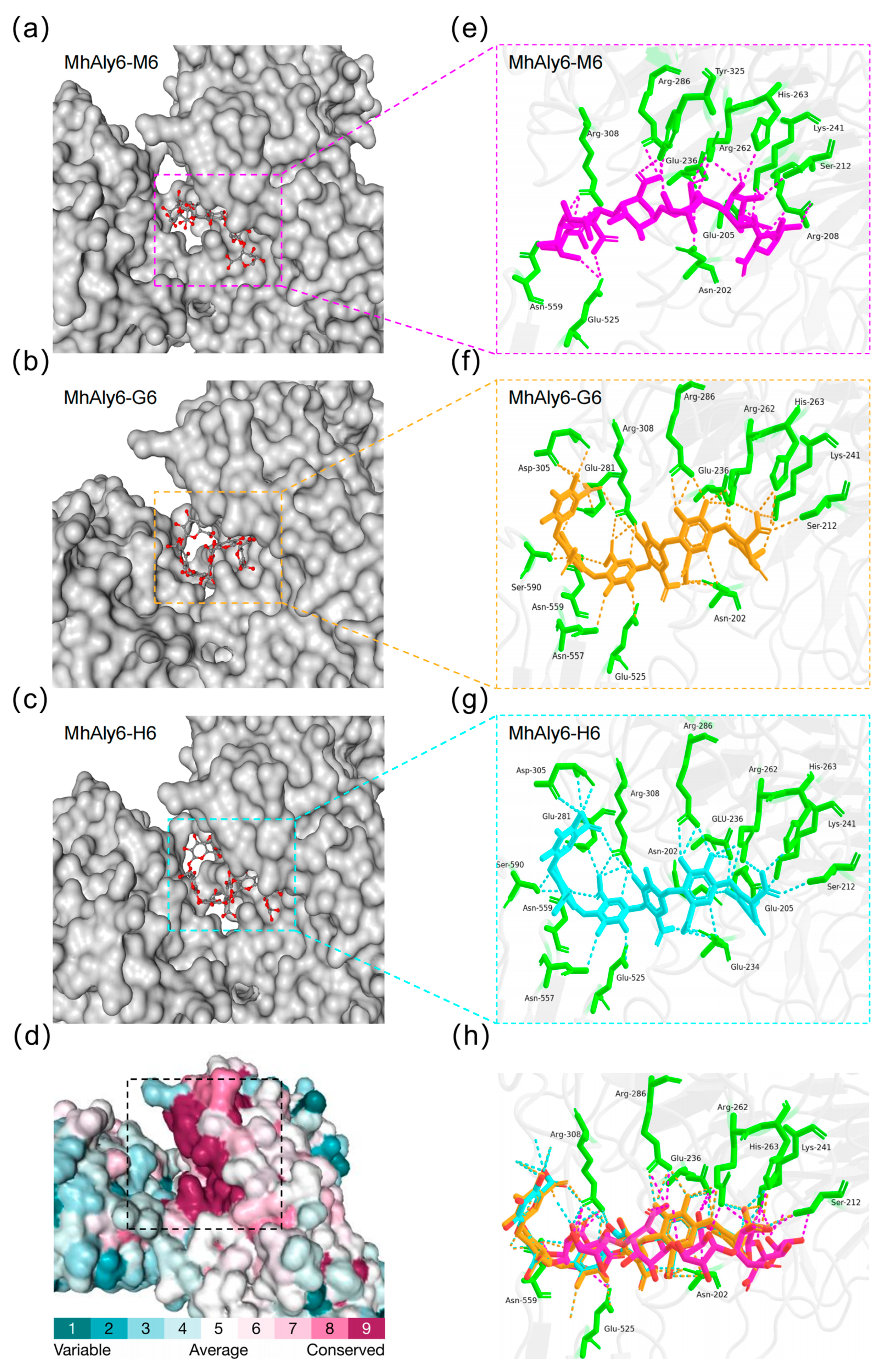 Marinedrugs 23 00176 g005