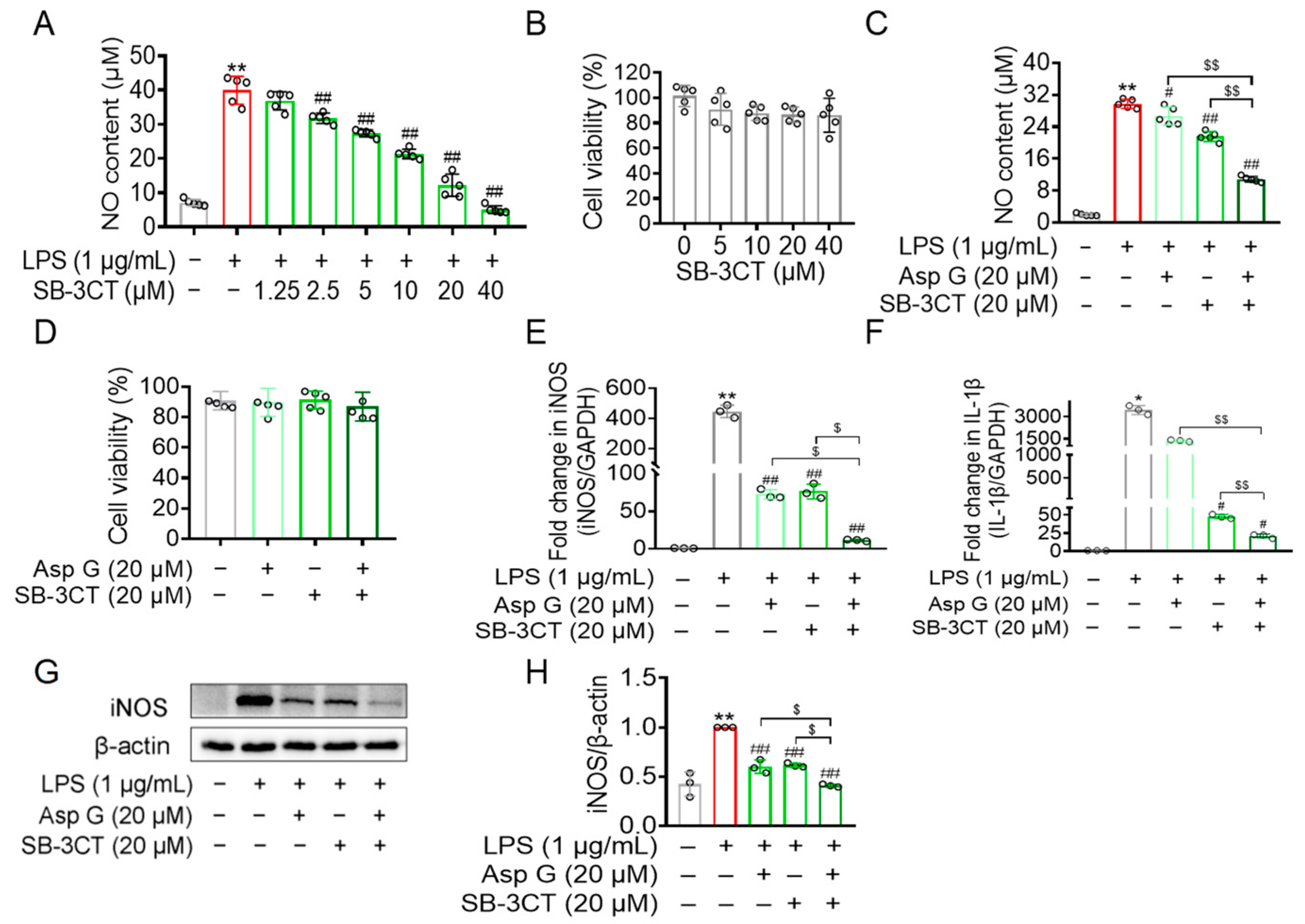 Marinedrugs 23 00181 g006