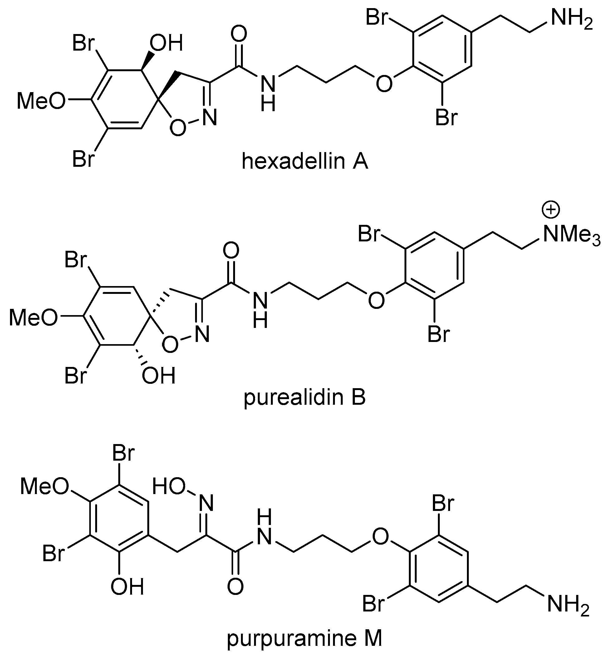 Marinedrugs 23 00186 g002