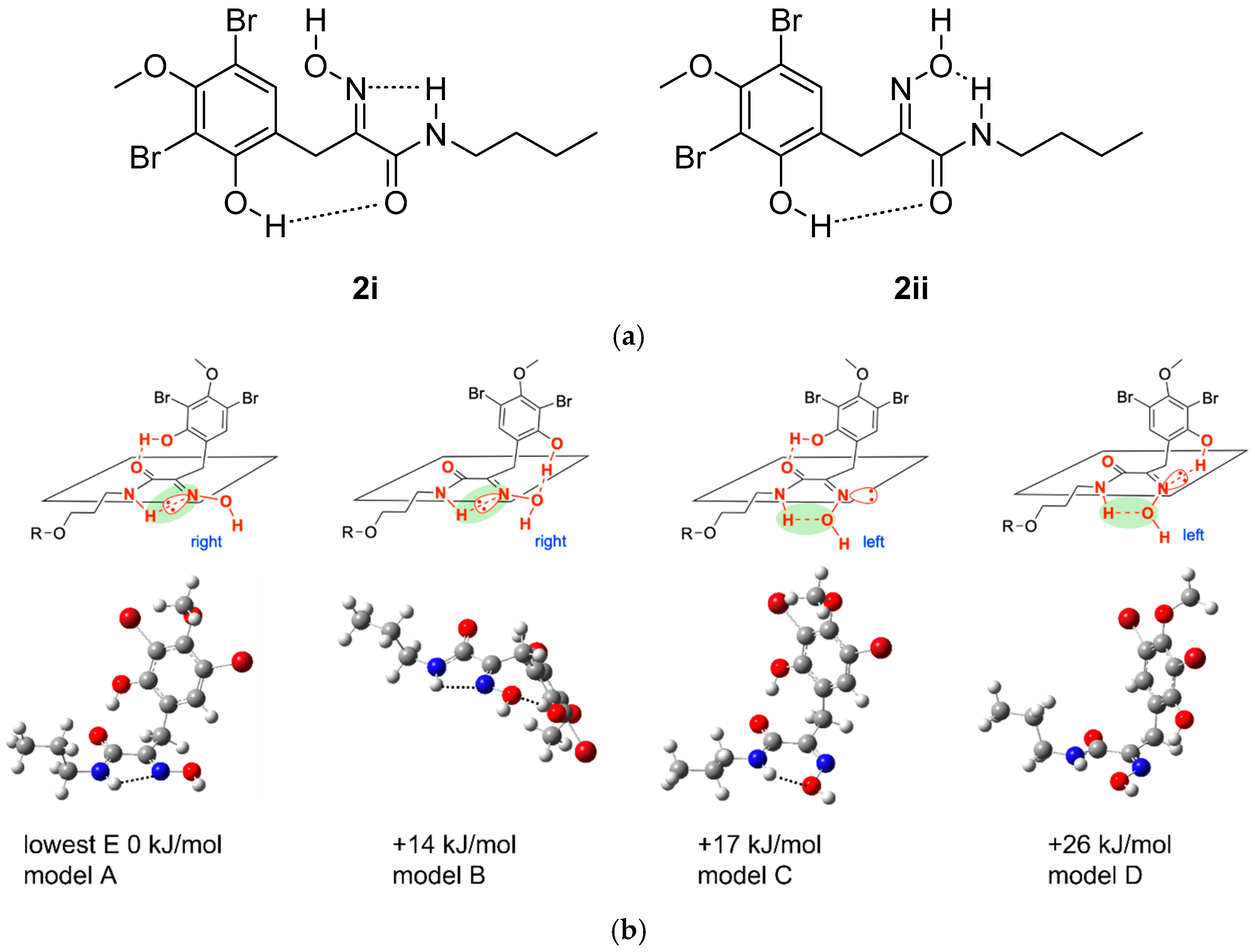 Marinedrugs 23 00186 g004