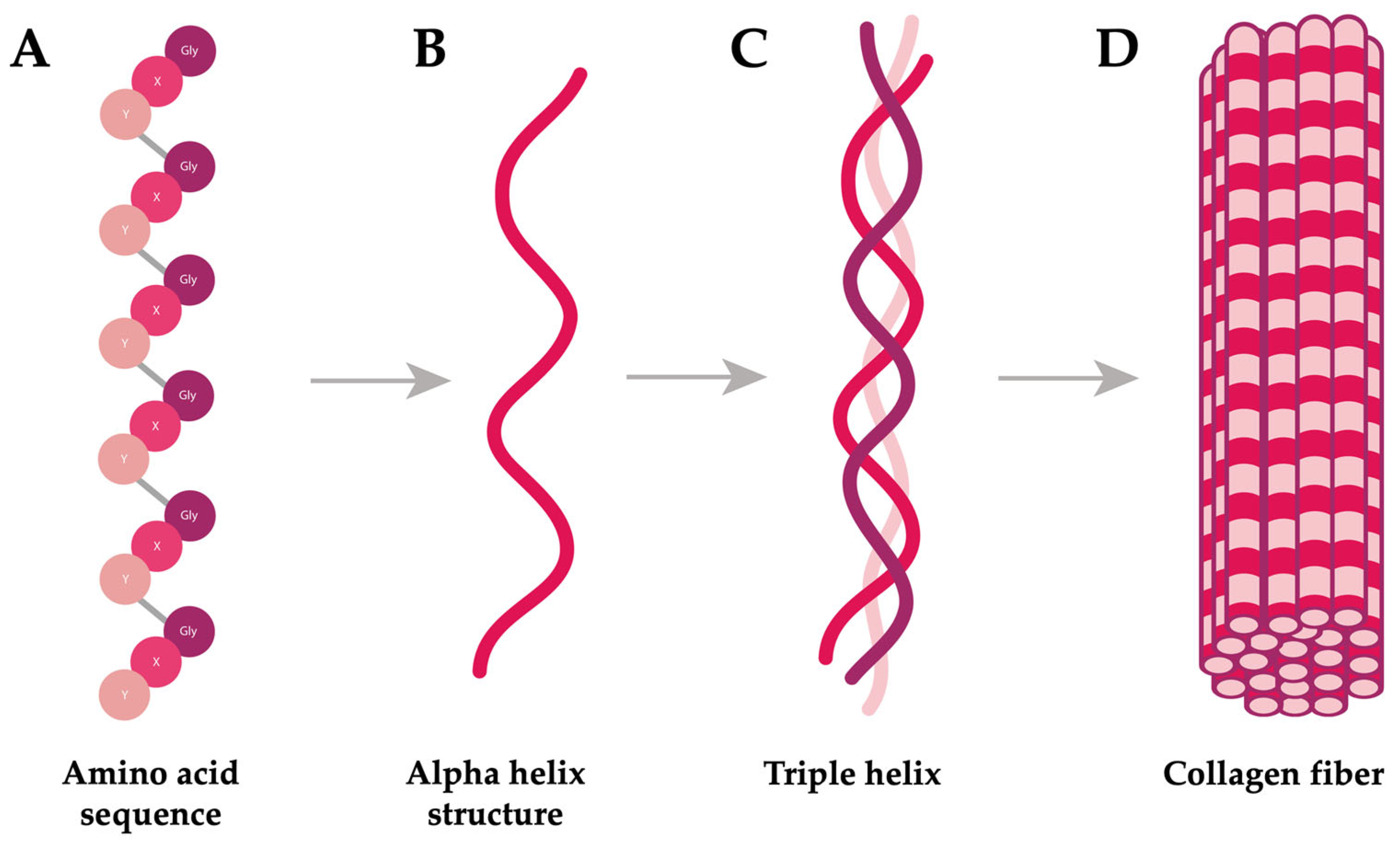 Marinedrugs 23 00200 g001