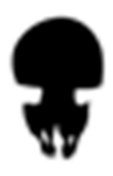 Marinedrugs 23 00200 i004