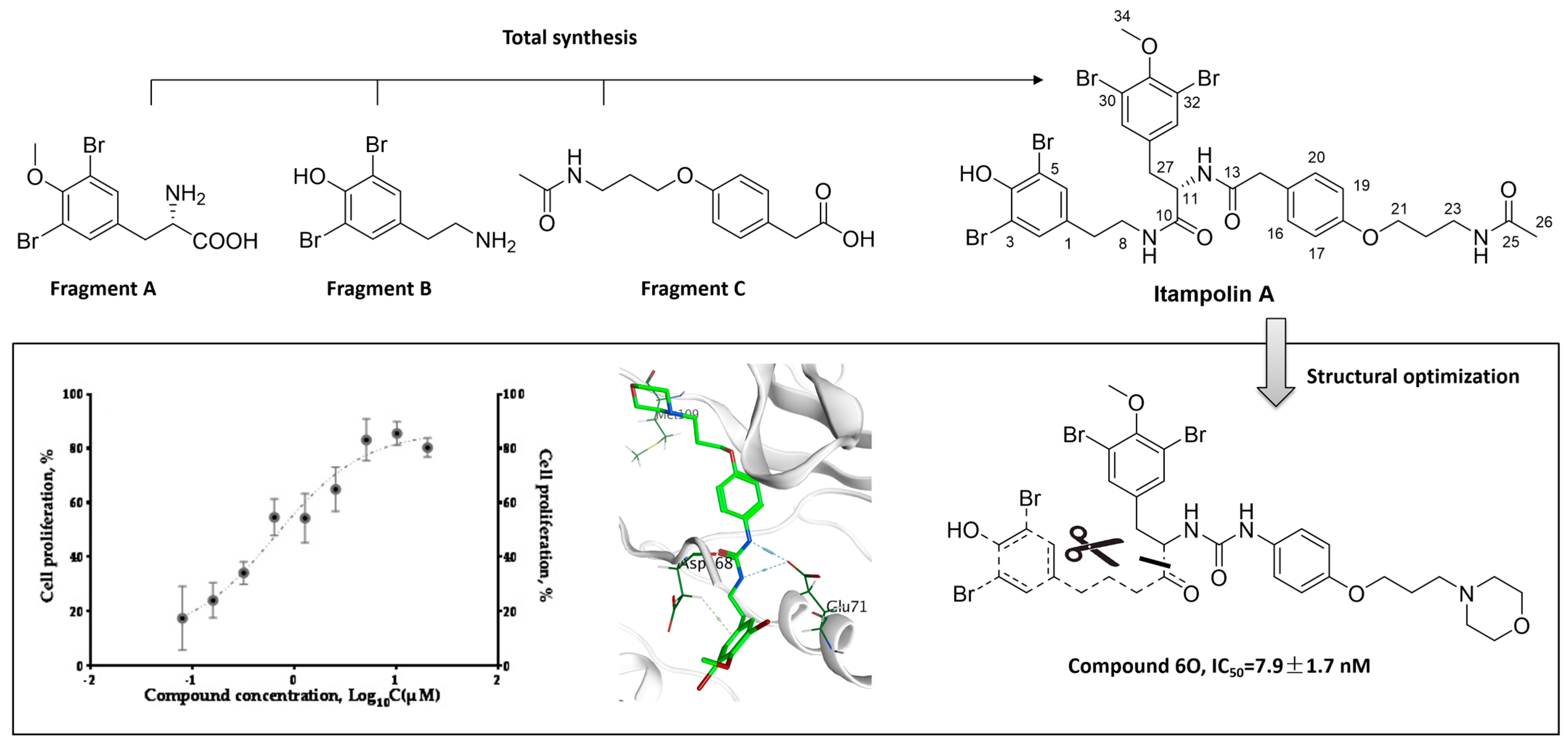 Marinedrugs 23 00357 g001 Marinedrugs 23 00357 g001