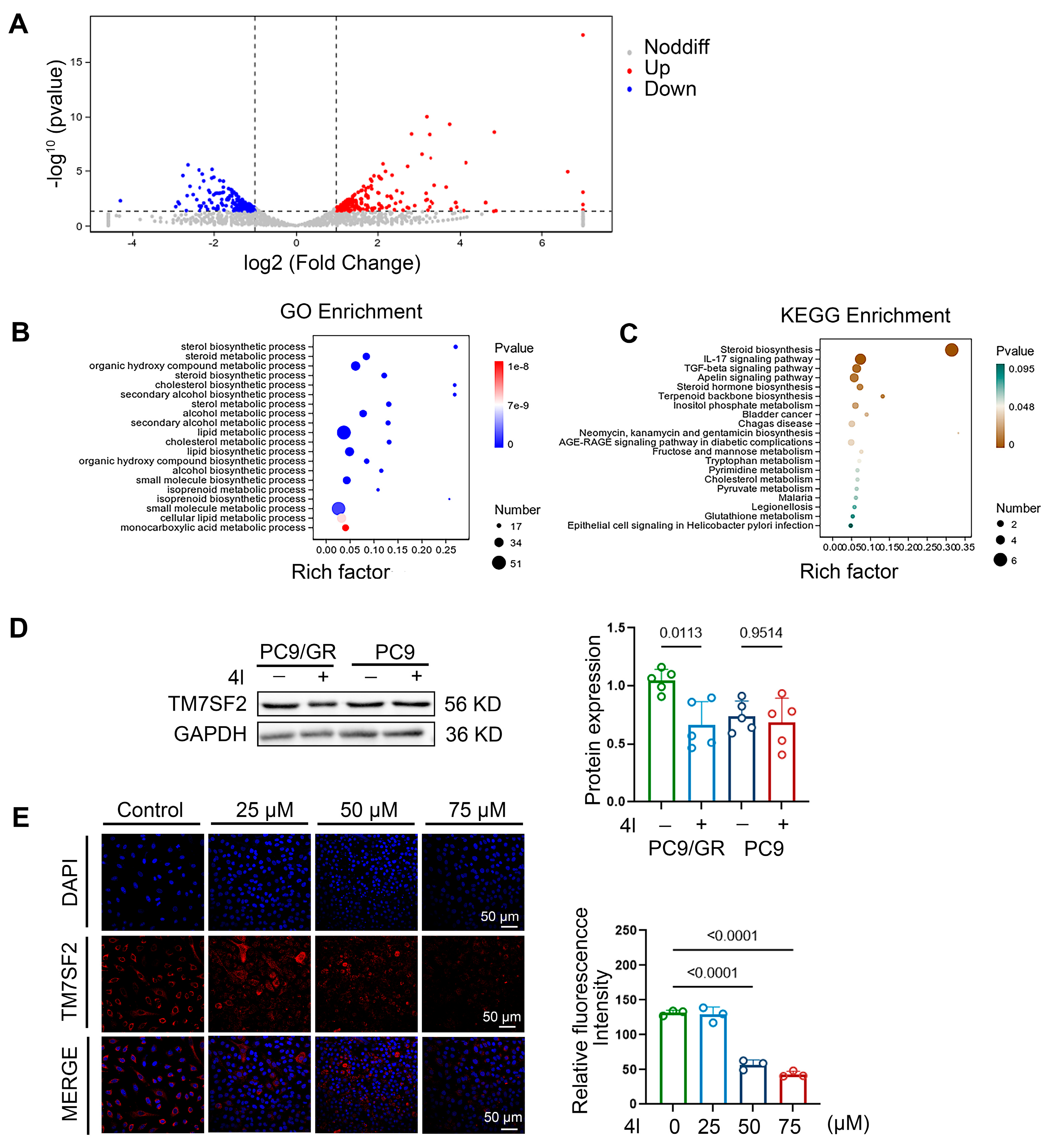 Marinedrugs 23 00357 g004 Marinedrugs 23 00357 g004
