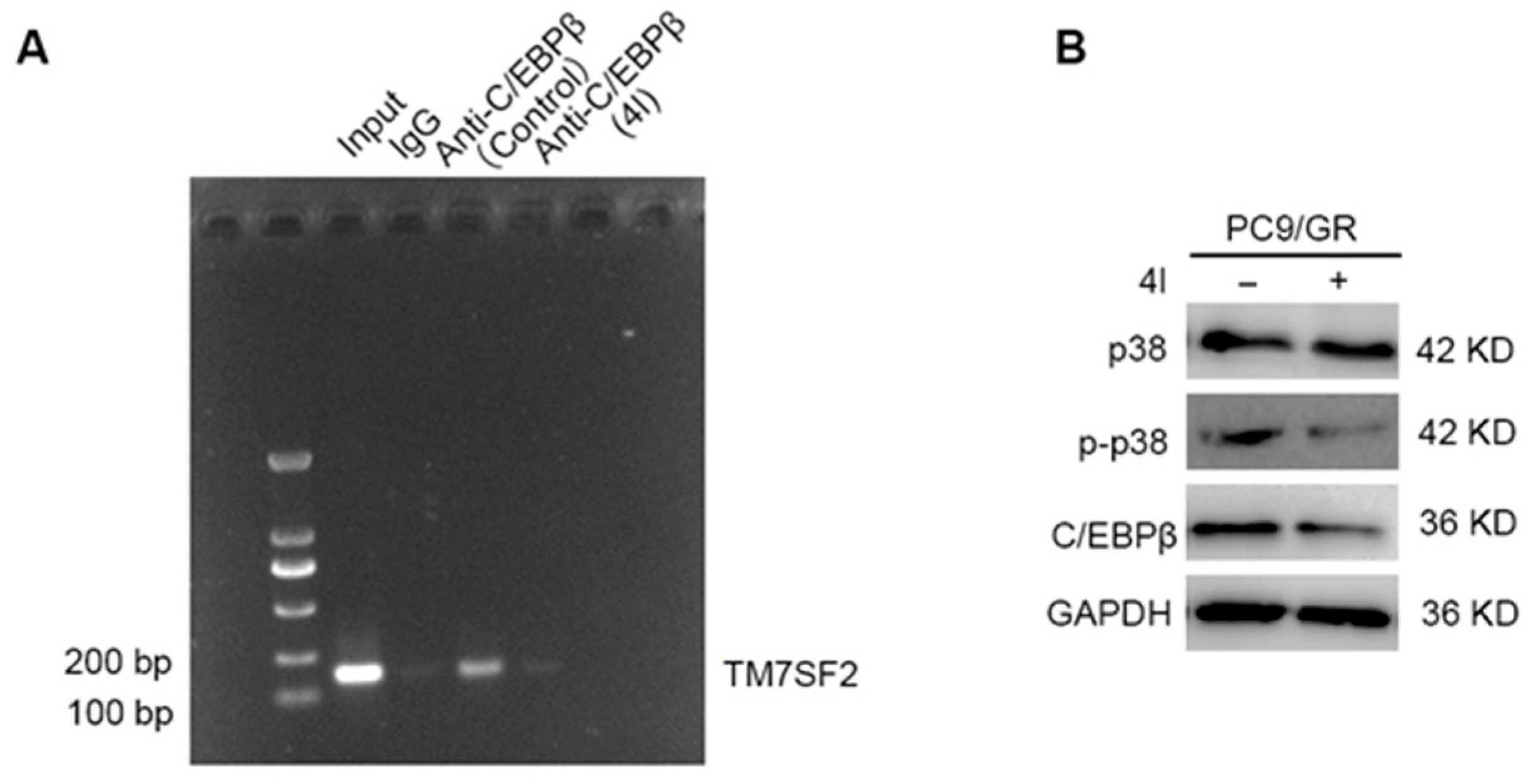 Marinedrugs 23 00357 g006 Marinedrugs 23 00357 g006