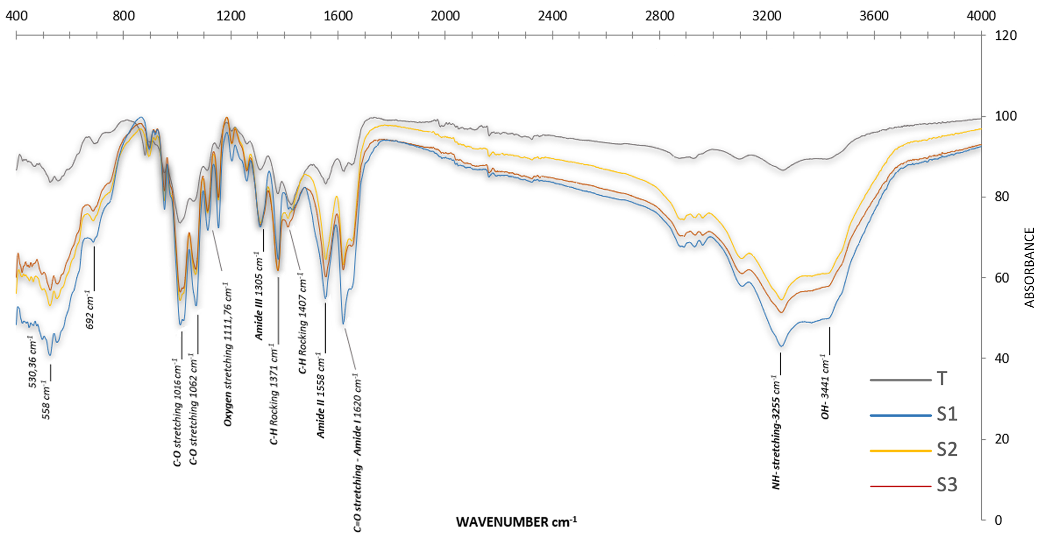 Marinedrugs 23 00367 g003 Marinedrugs 23 00367 g003