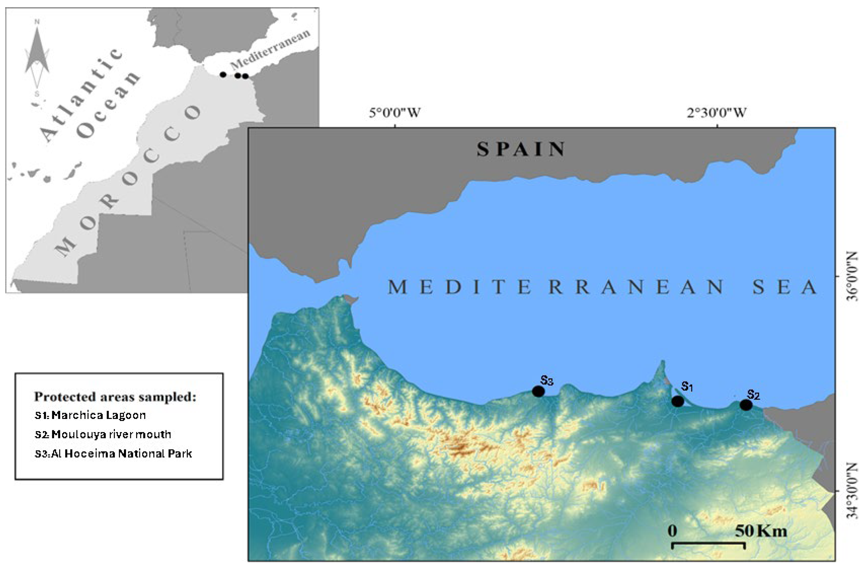 Marinedrugs 23 00367 g005 Marinedrugs 23 00367 g005