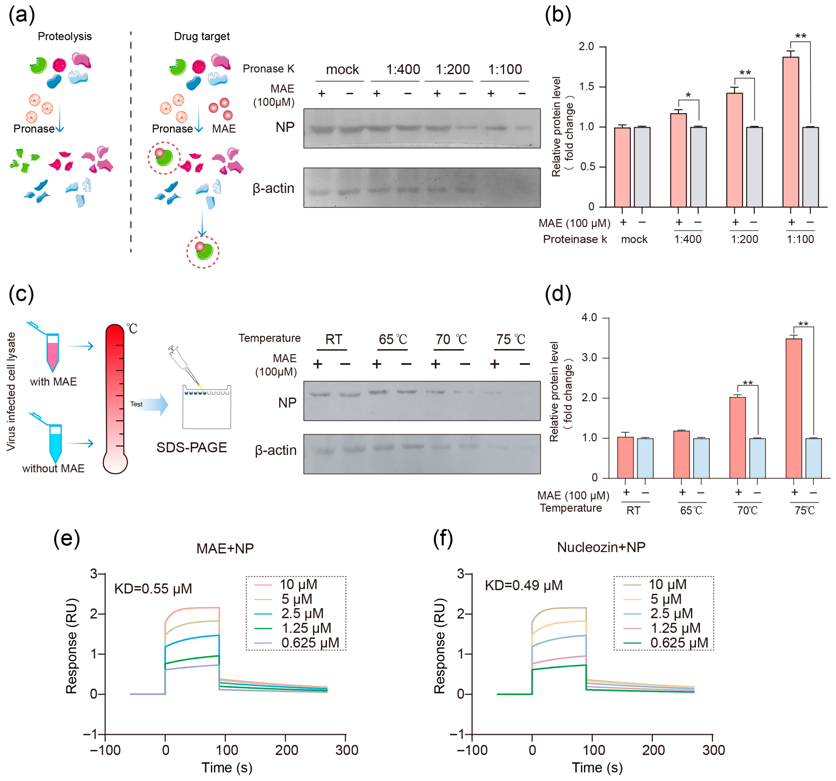 Marinedrugs 23 00413 g002 Marinedrugs 23 00413 g002
