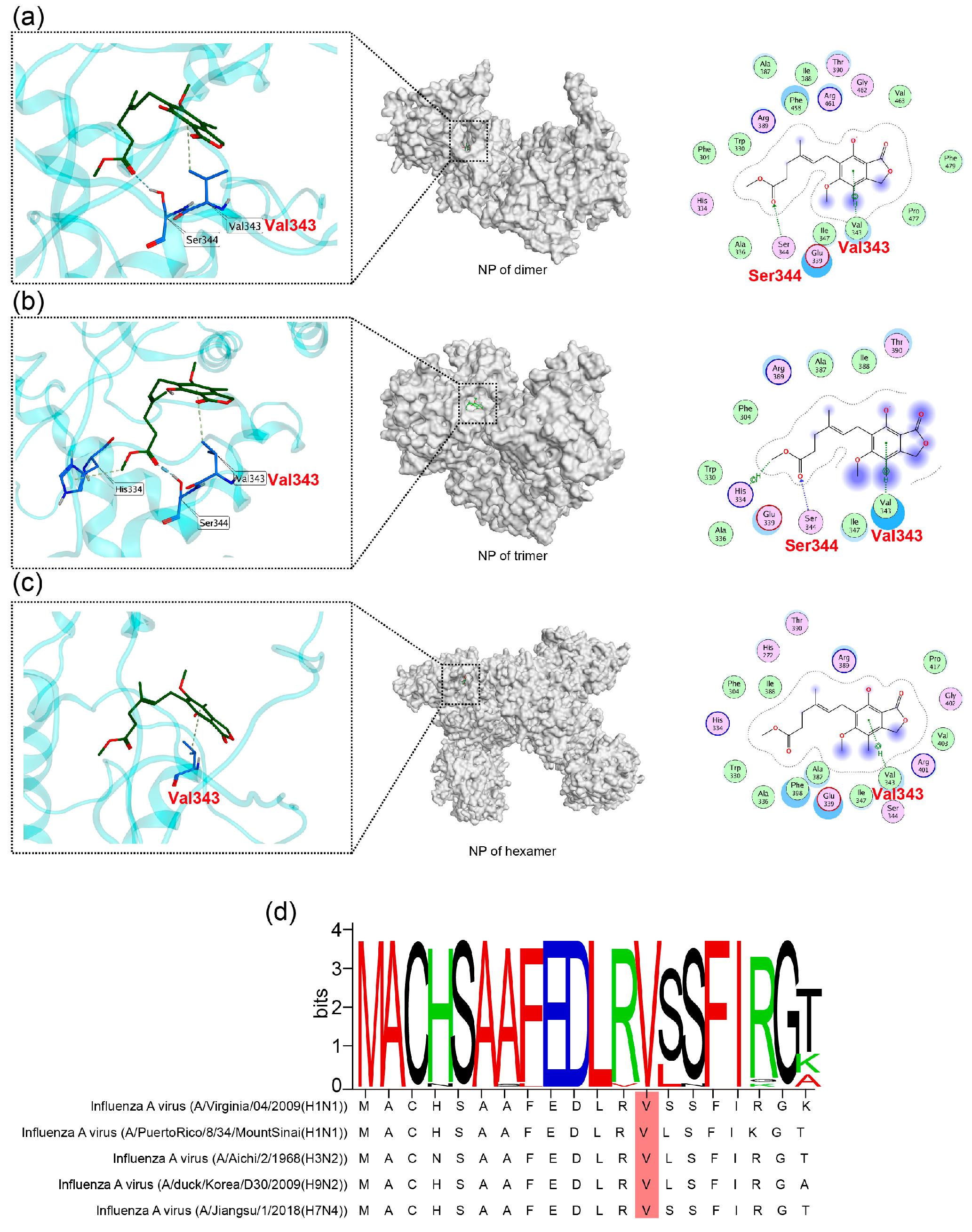 Marinedrugs 23 00413 g003 Marinedrugs 23 00413 g003