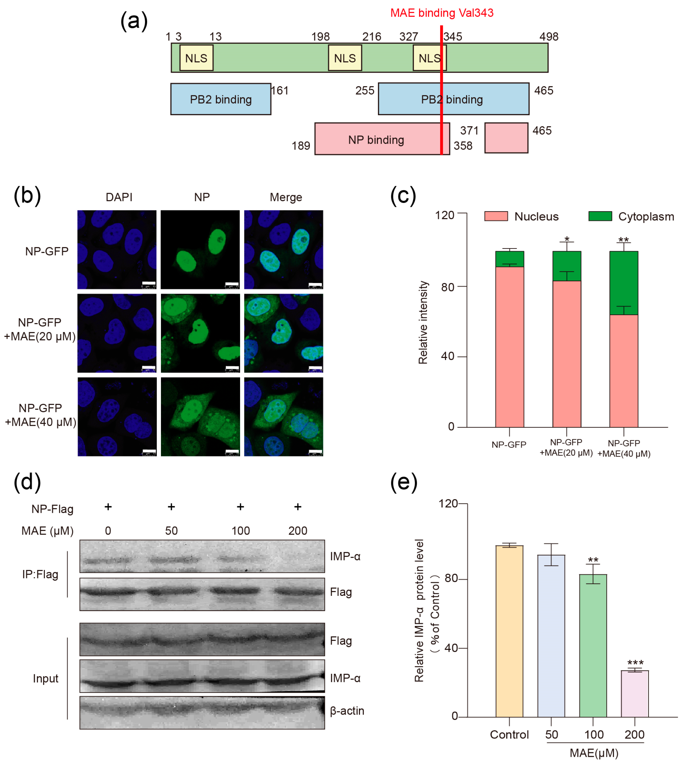 Marinedrugs 23 00413 g004 Marinedrugs 23 00413 g004