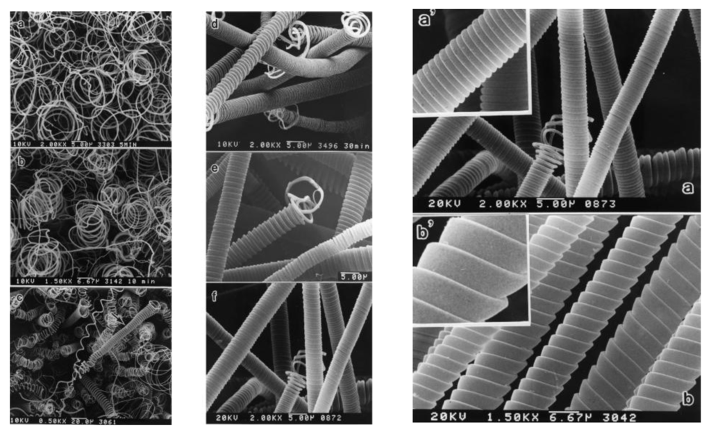 functionalized carbon nanotubes