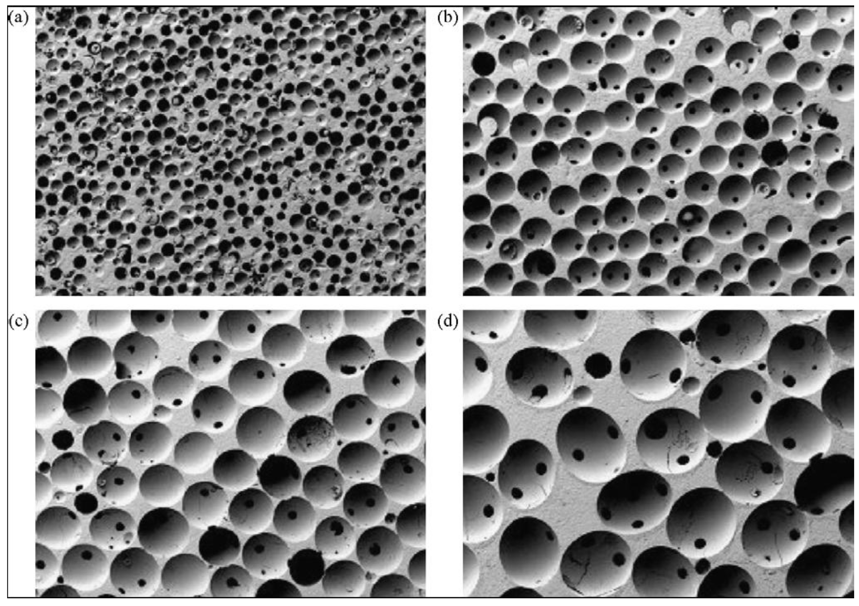 Materials | Free Full-Text | Calcium Orthophosphate-Based Bioceramics | HTML