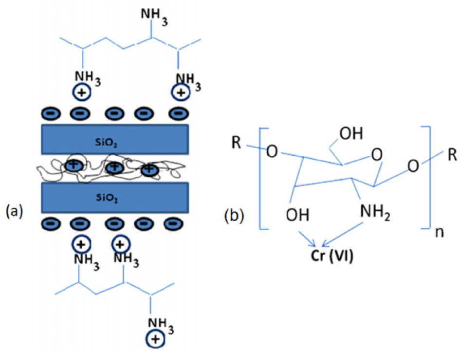 A theoretical structure of acrylic resin/titania organic-inorganic hybrids.