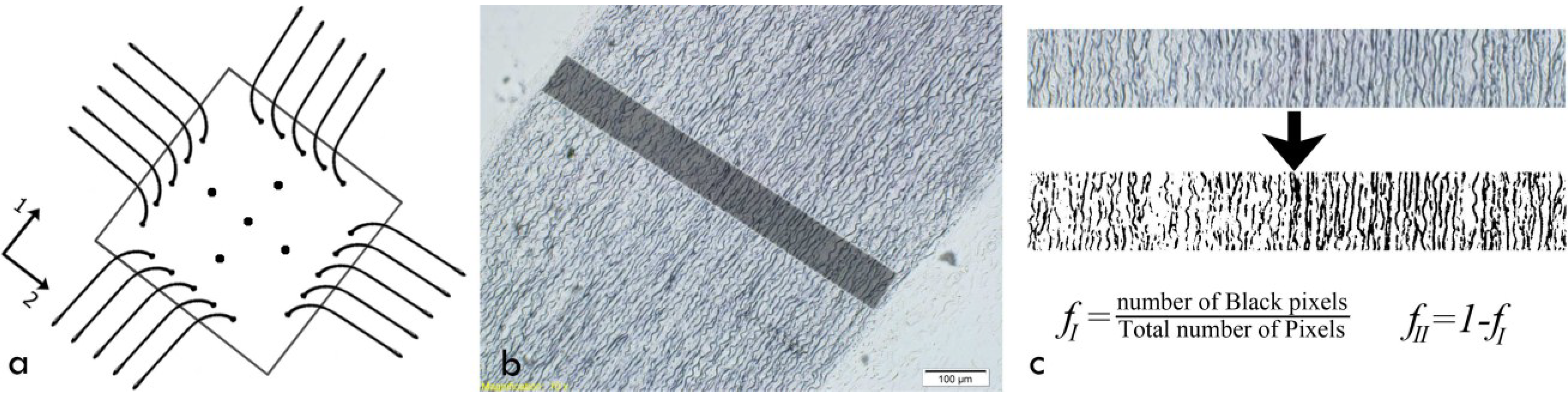 Materials 08 00302 g002