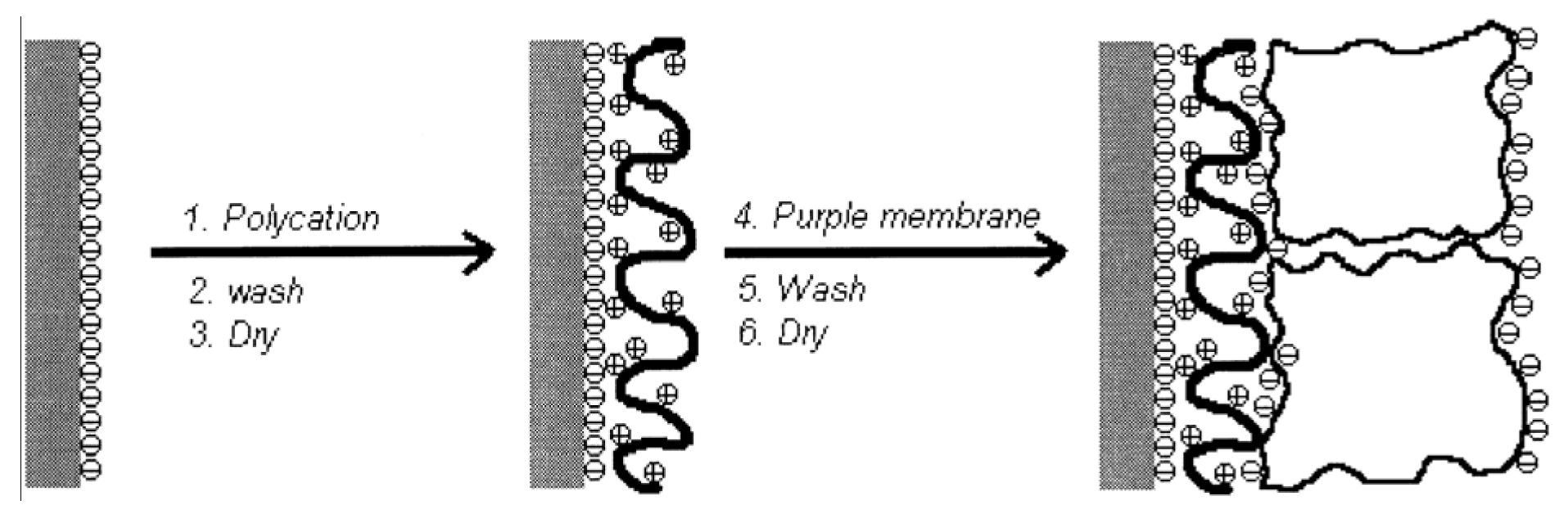 Materials 08 05304 g021