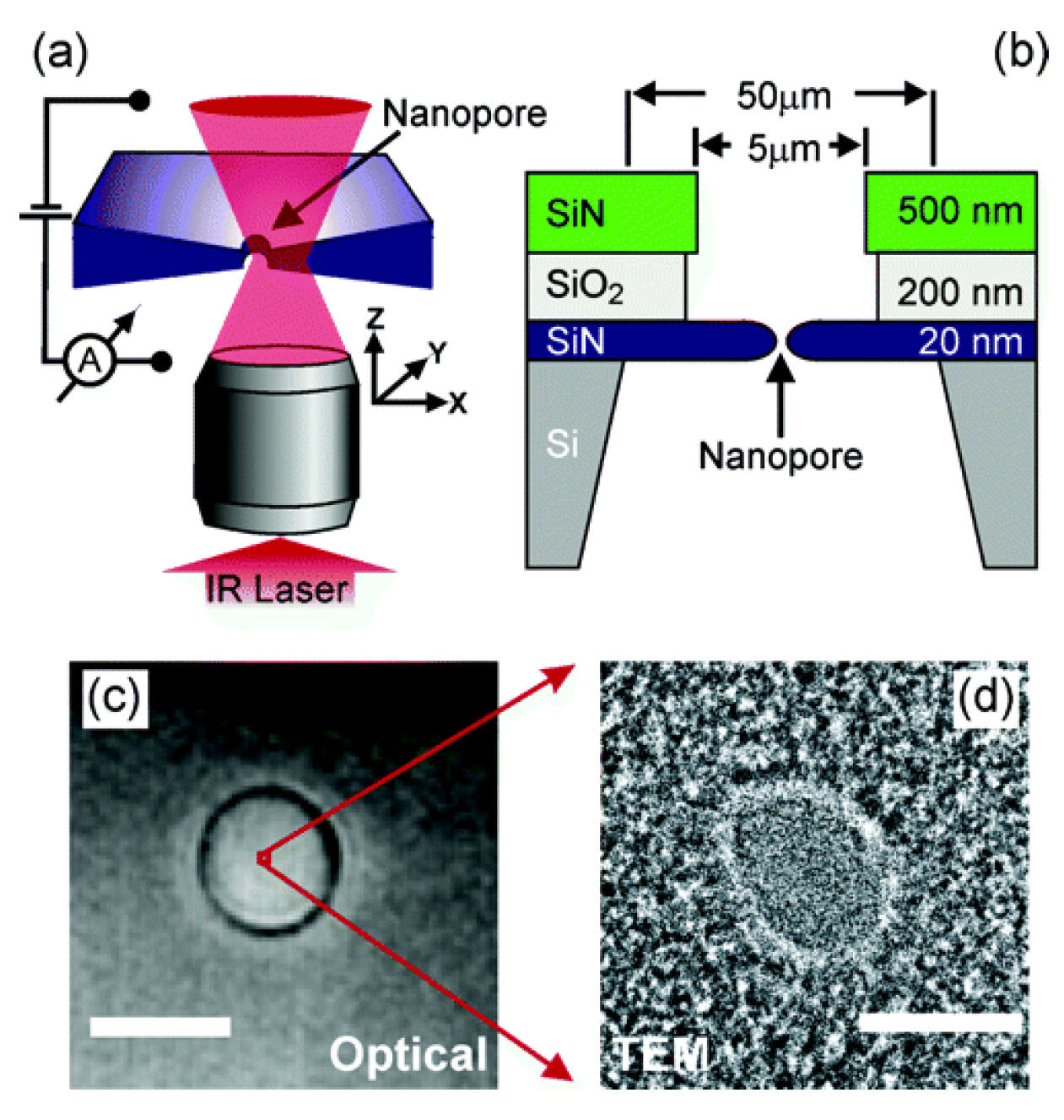 Materials 08 05304 g023