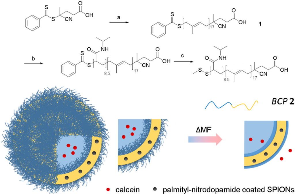 Materials Free Full Text Triggered Release From Thermoresponsive Polymersomes With Superparamagnetic Membranes Html