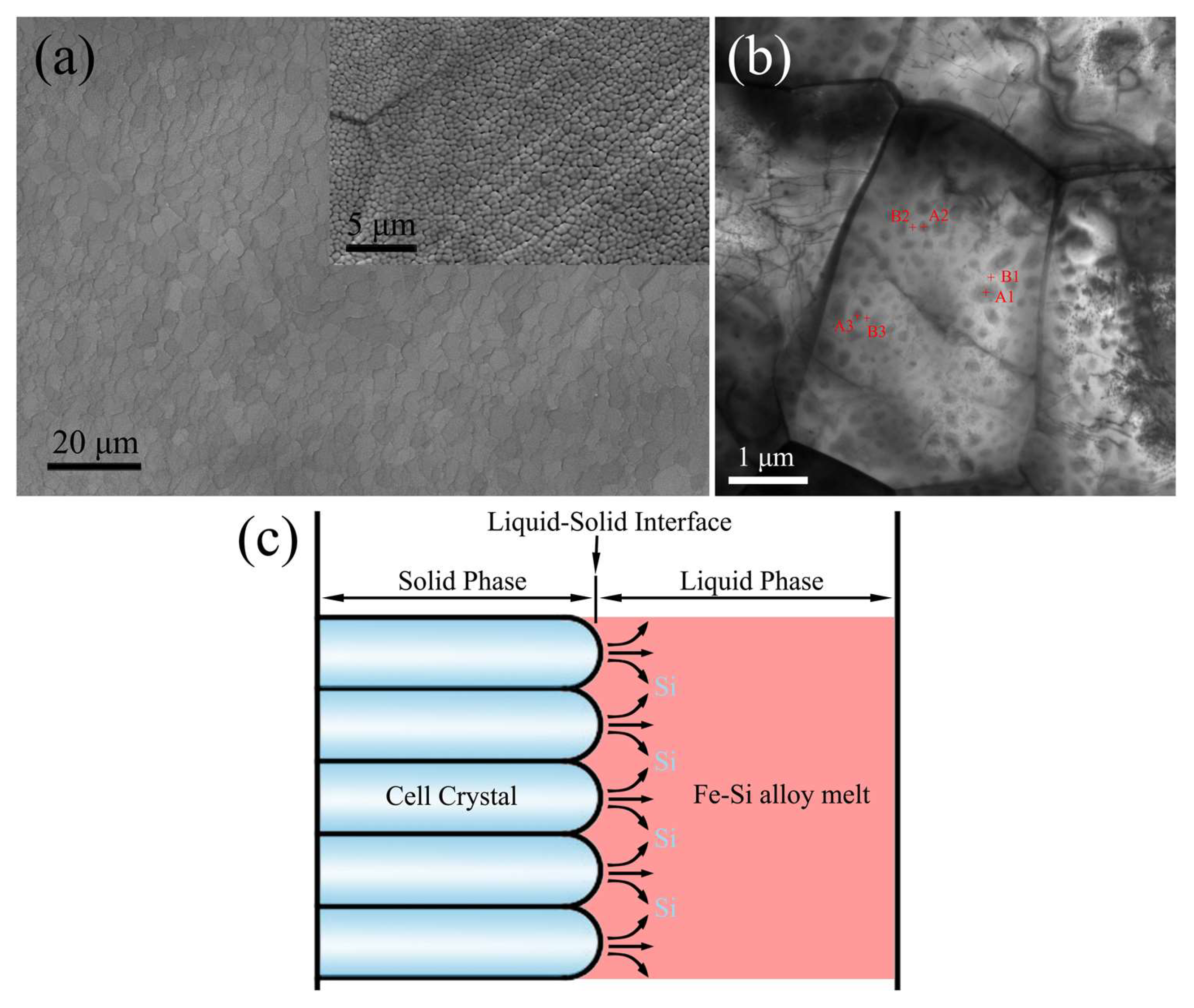Materials 11 00701 g001