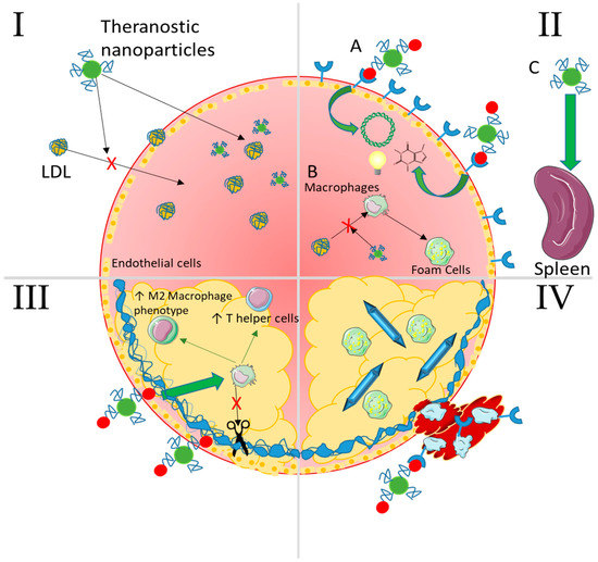 Materials | Free Full-Text | The Multifaceted Uses and Therapeutic ...