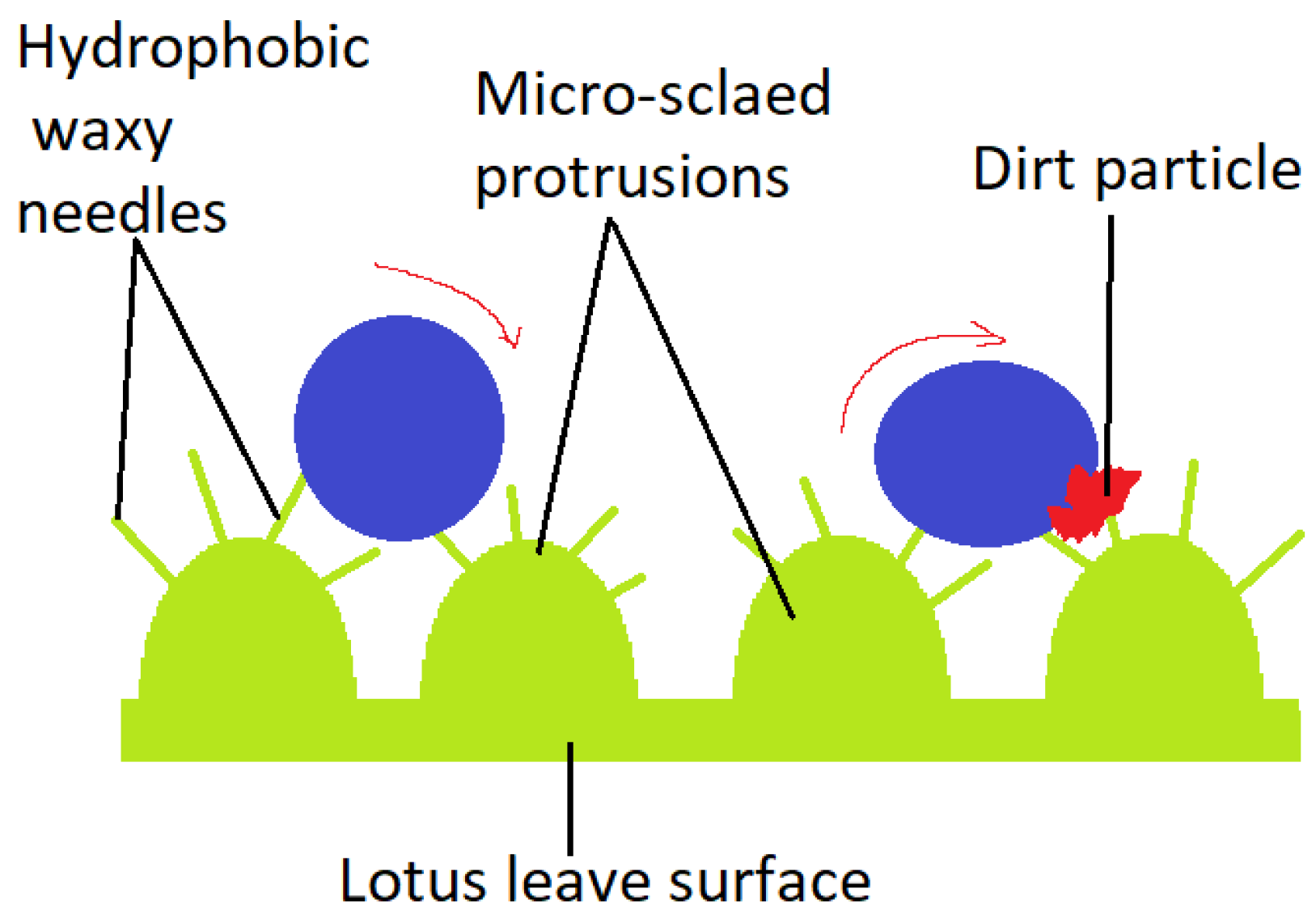 Hydrophobic Kevlar Coating Oleophobic Kevlar Treatments