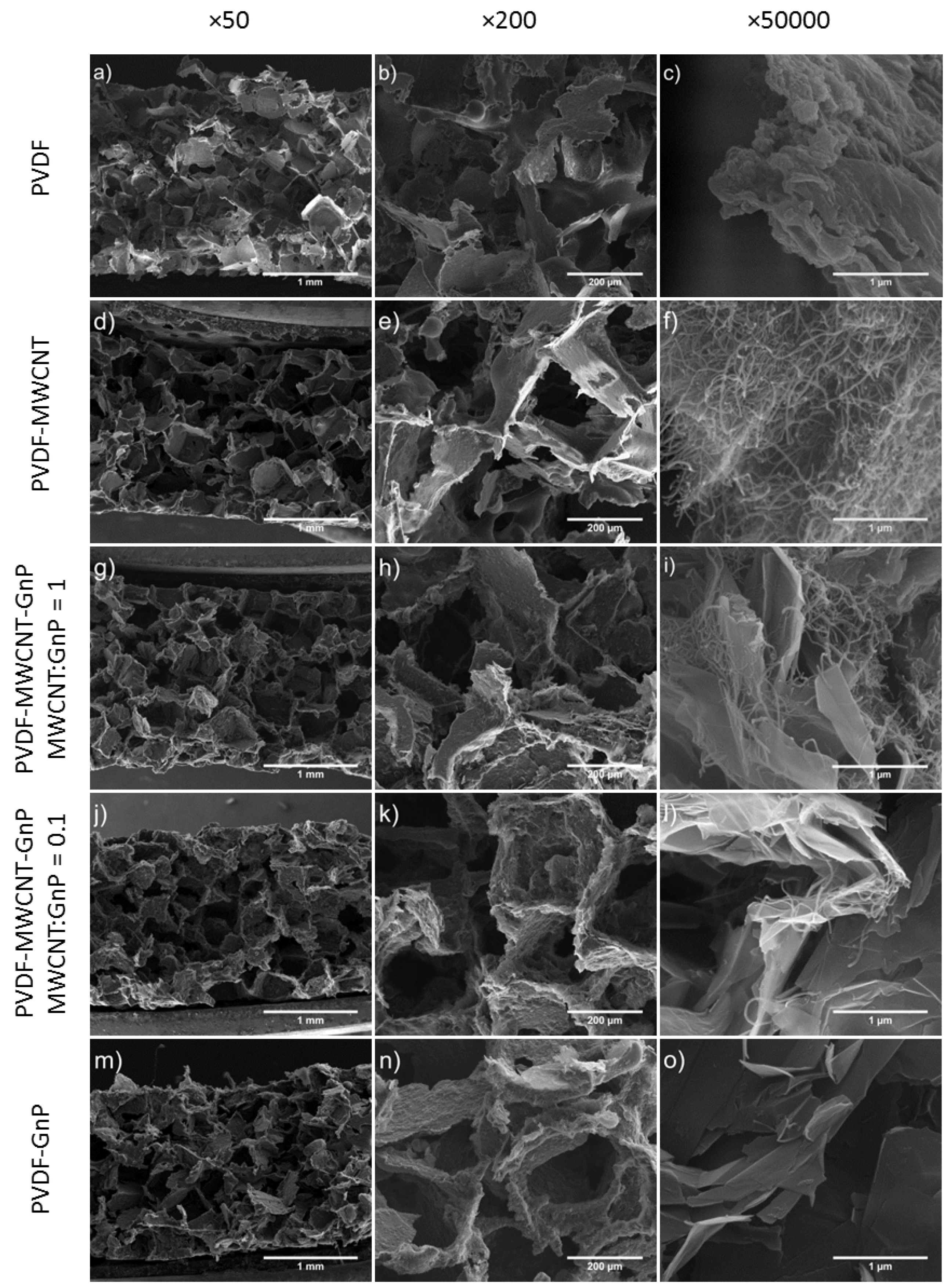 Polymer nanocomposite foams