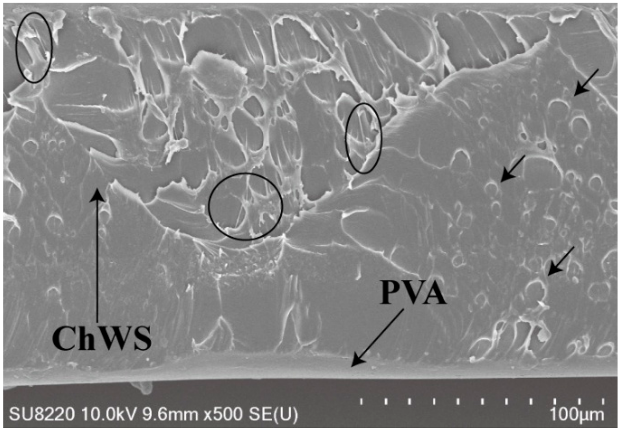 Materials 11 01883 g008