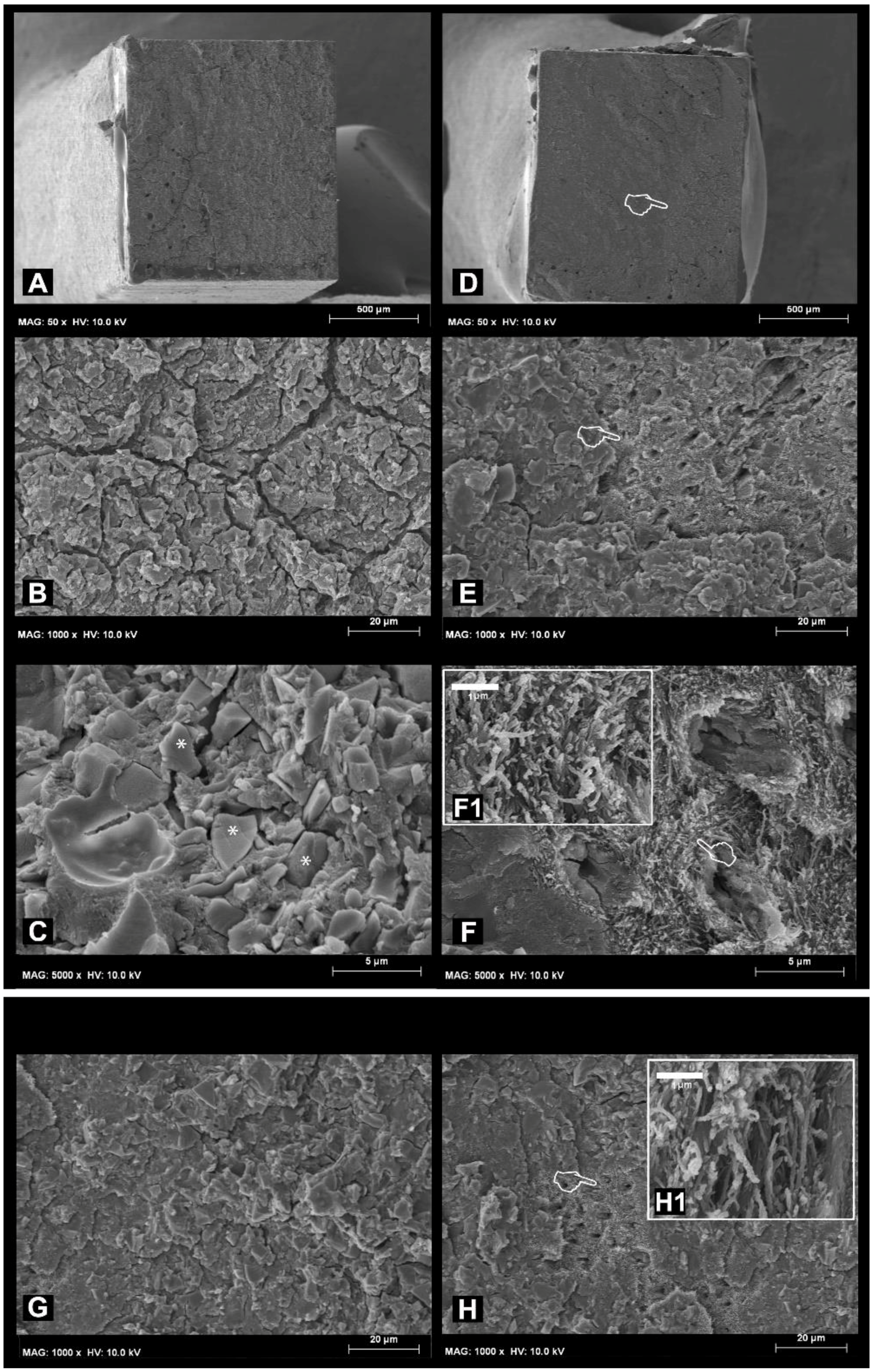 Materials 11 01884 g001