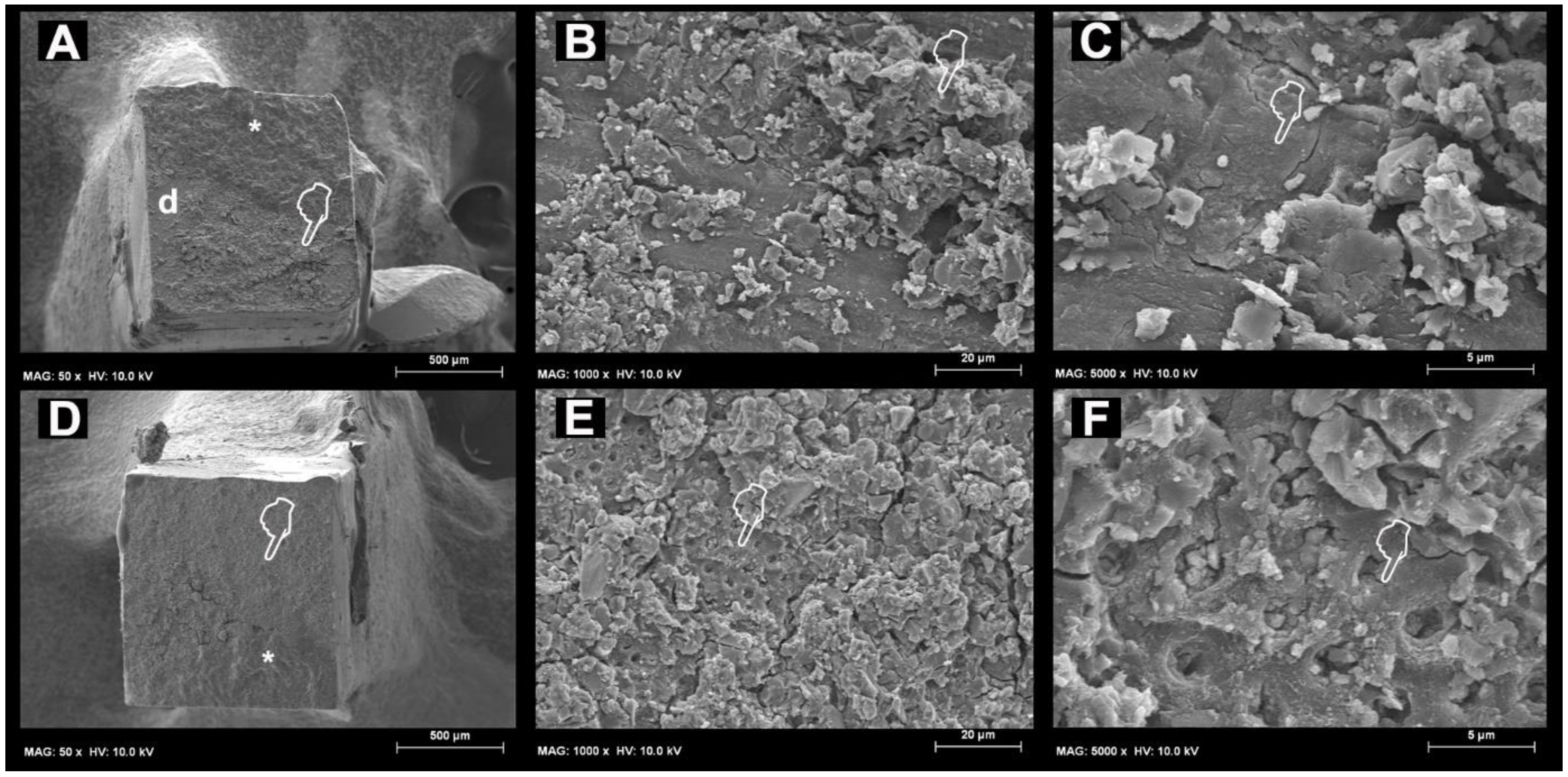 Materials 11 01884 g002