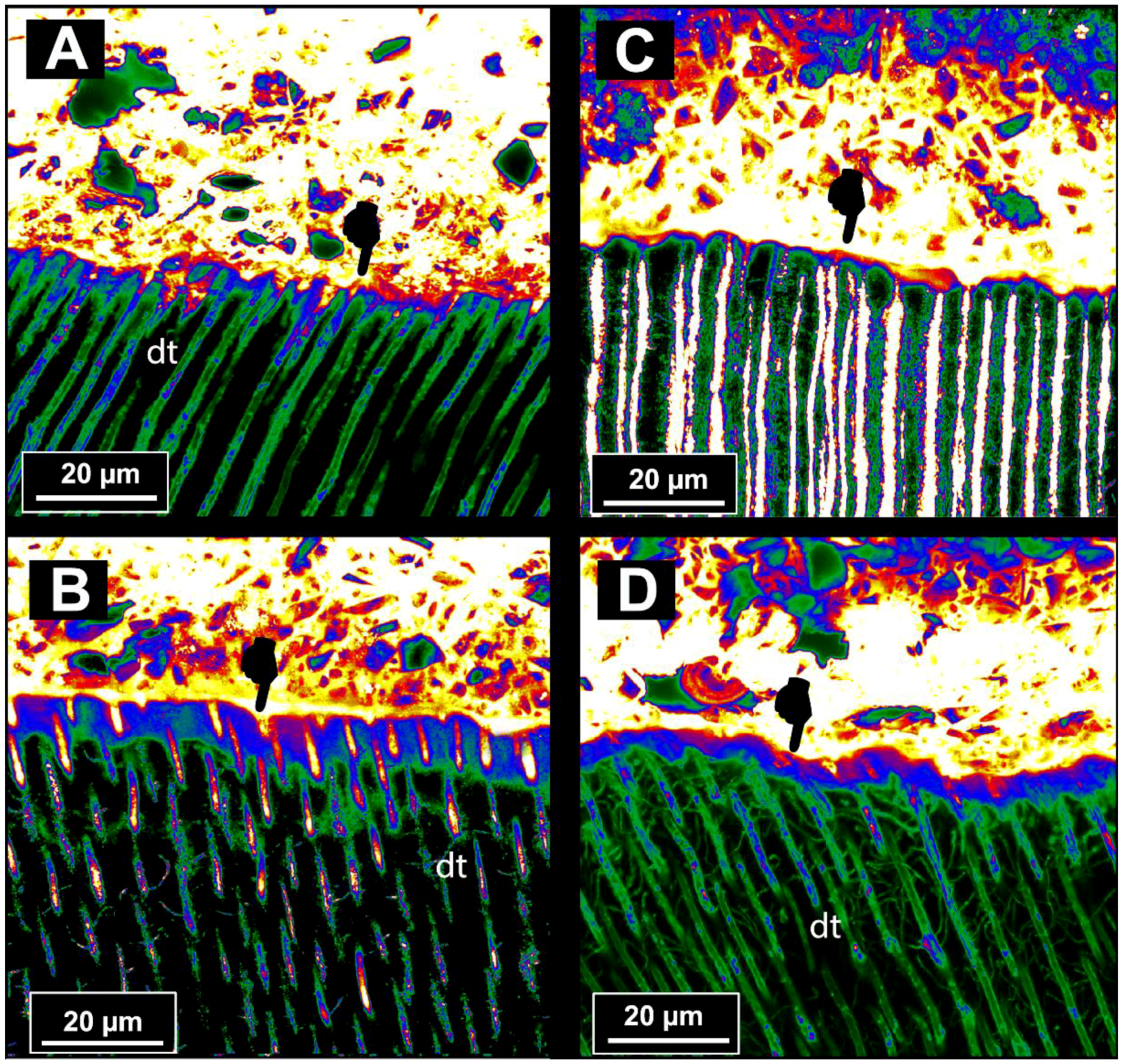 Materials 11 01884 g003
