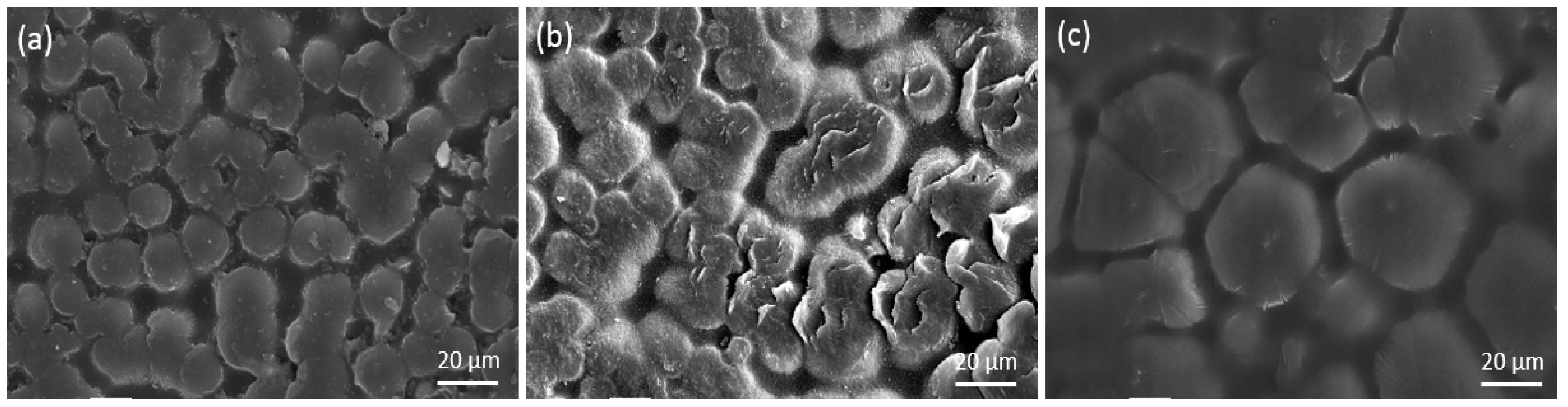 Materials 11 01922 g005