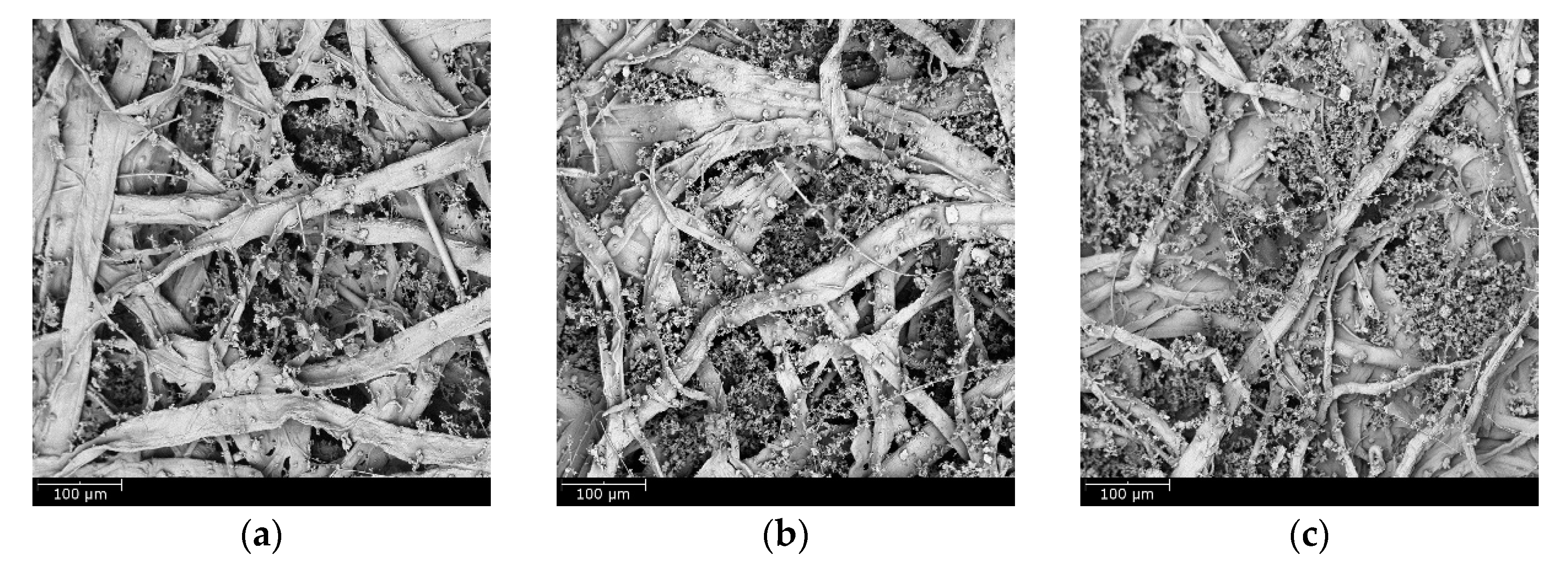 Materials 11 02038 g010