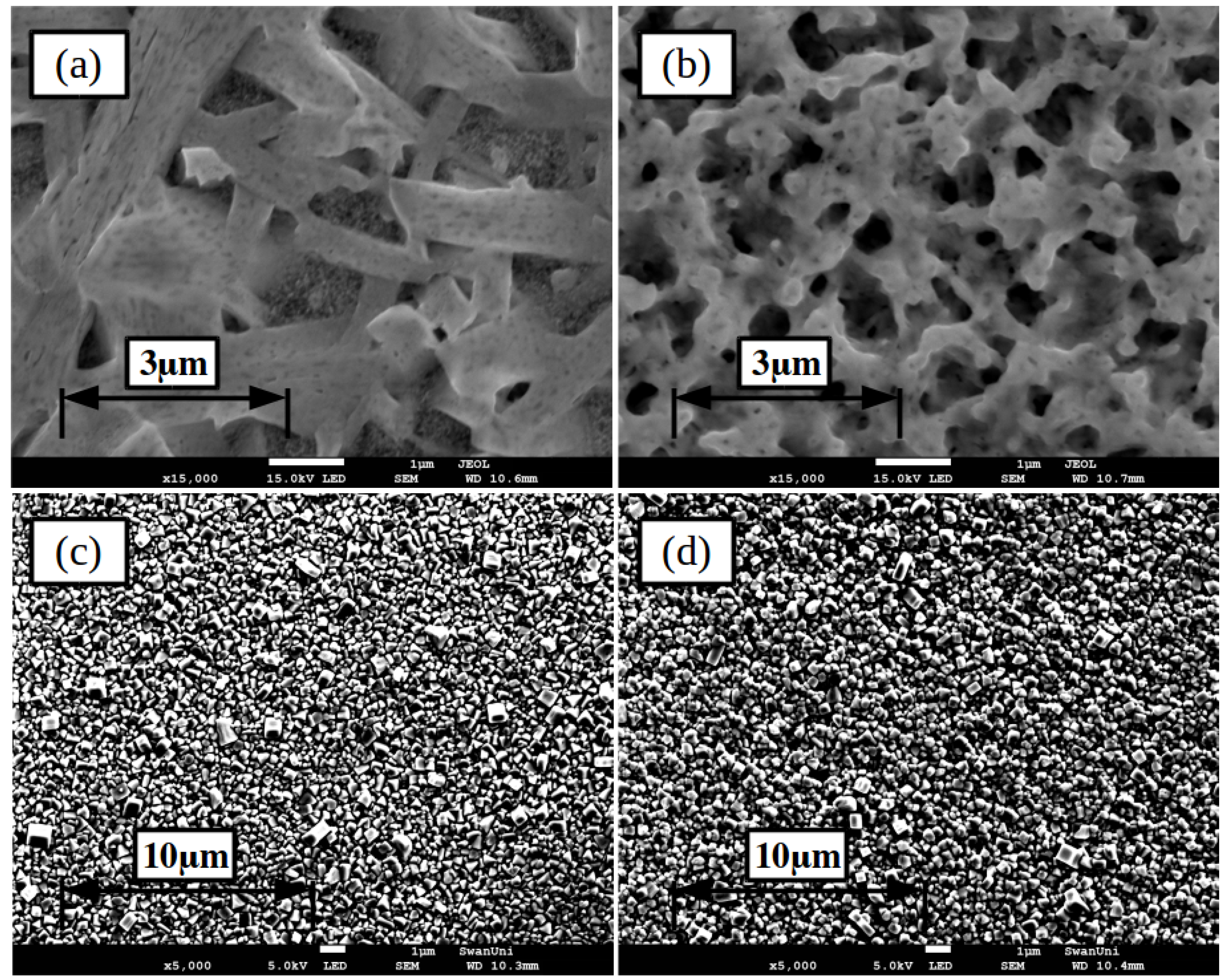 Slot-Die Coated Perovskite Films Using Mixed Lead Precursors for