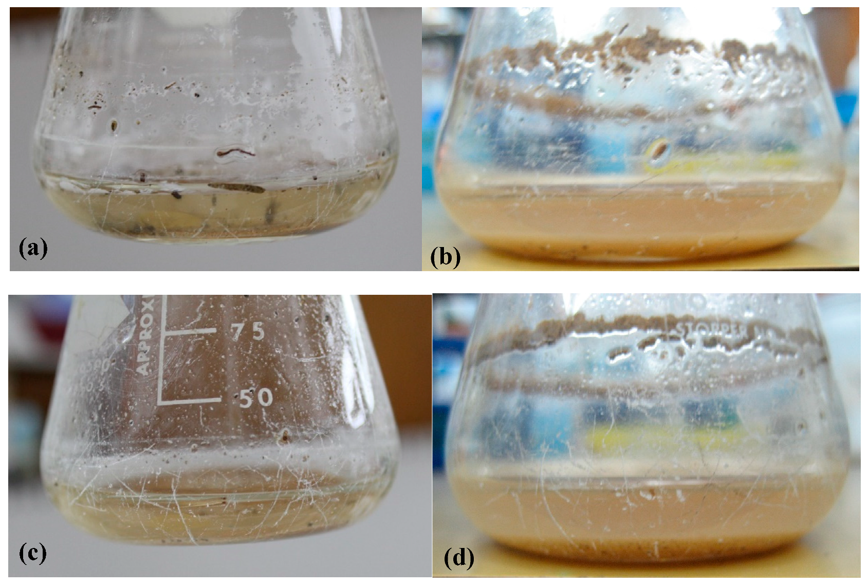 Materials 11 02123 g001