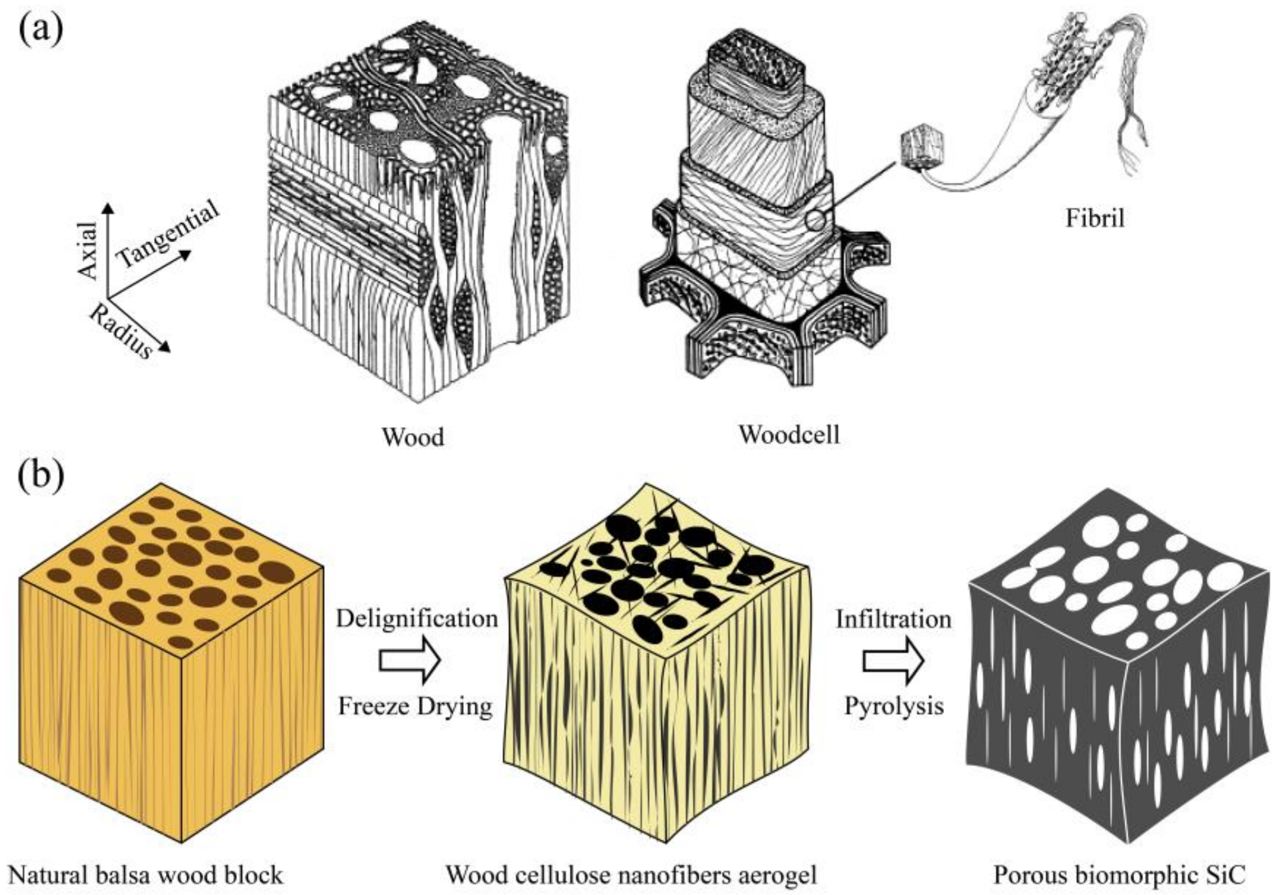 Materials 11 02430 g001