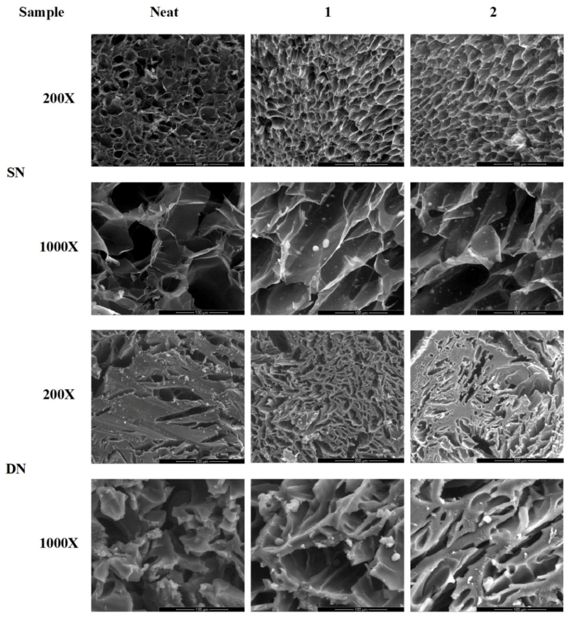 200 раз. Увеличение в 200 раз. Hyaluronan Electron microscopy. Sem microscopy Panorama image.