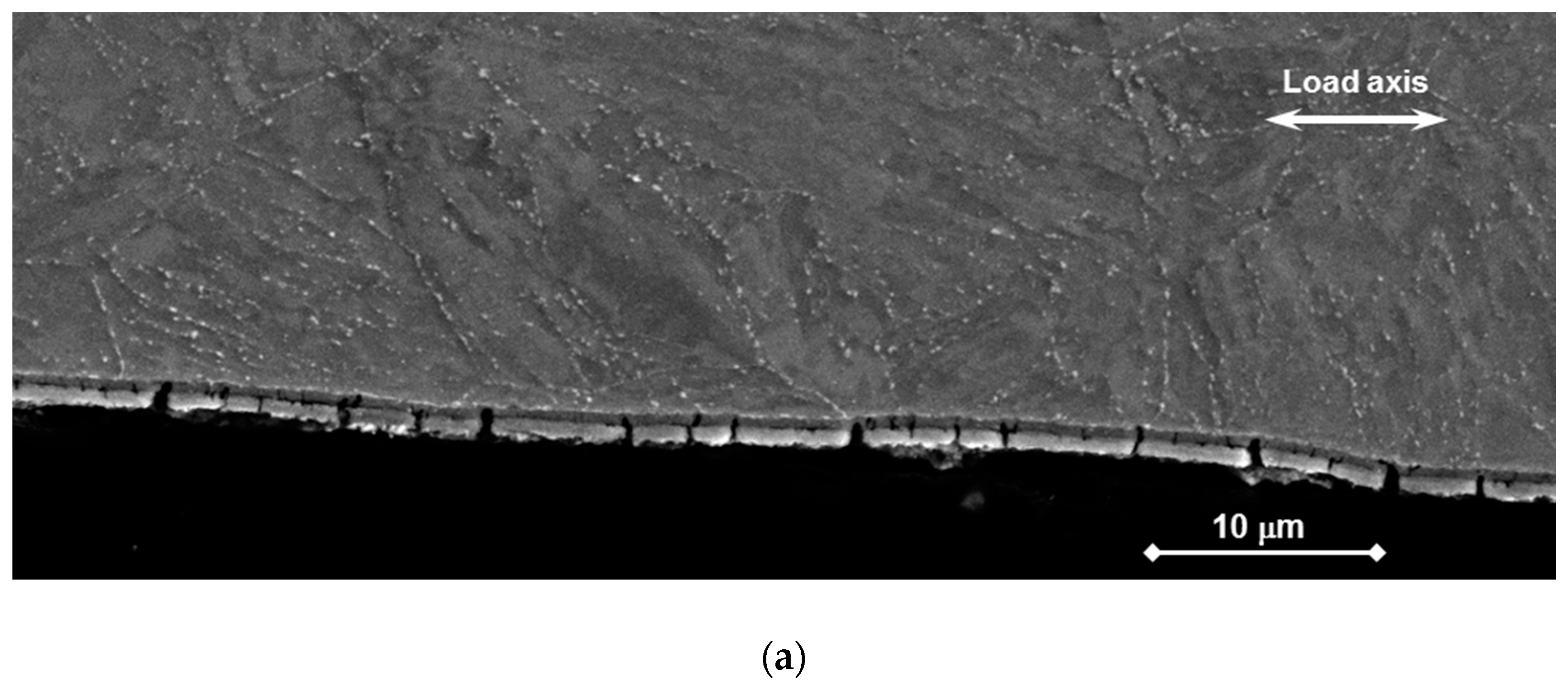 Materials 11 02512 g010a Materials 11 02512 g010a