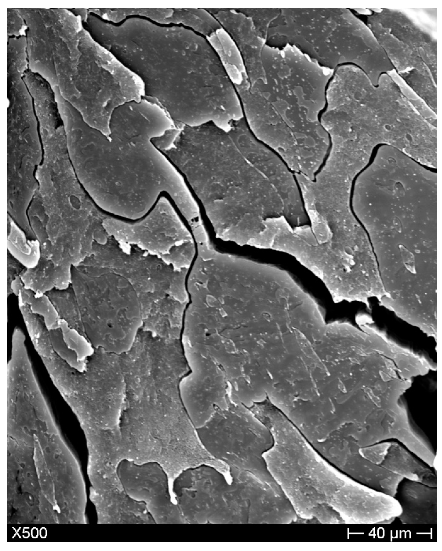 Materials 11 02527 g003 Materials 11 02527 g003