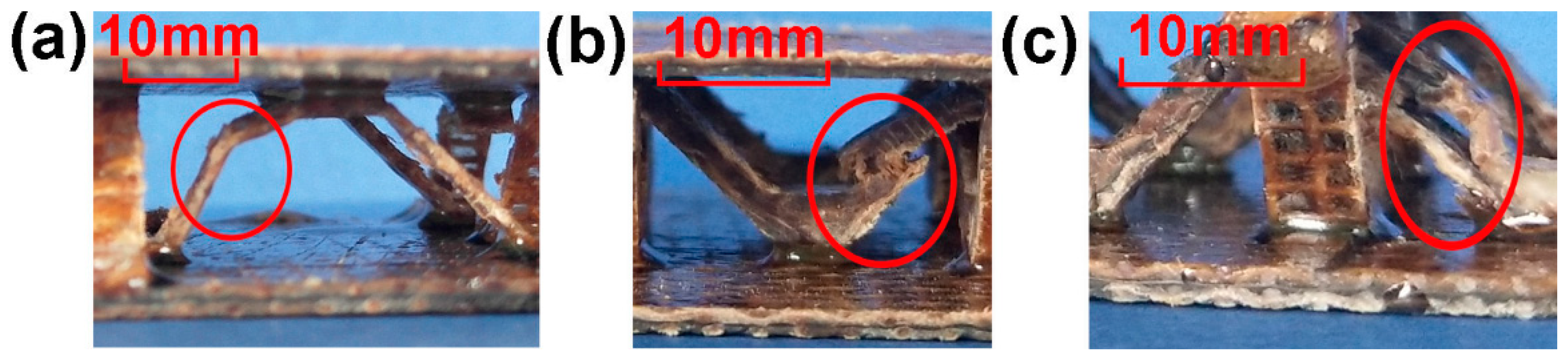 Materials 11 02578 g007