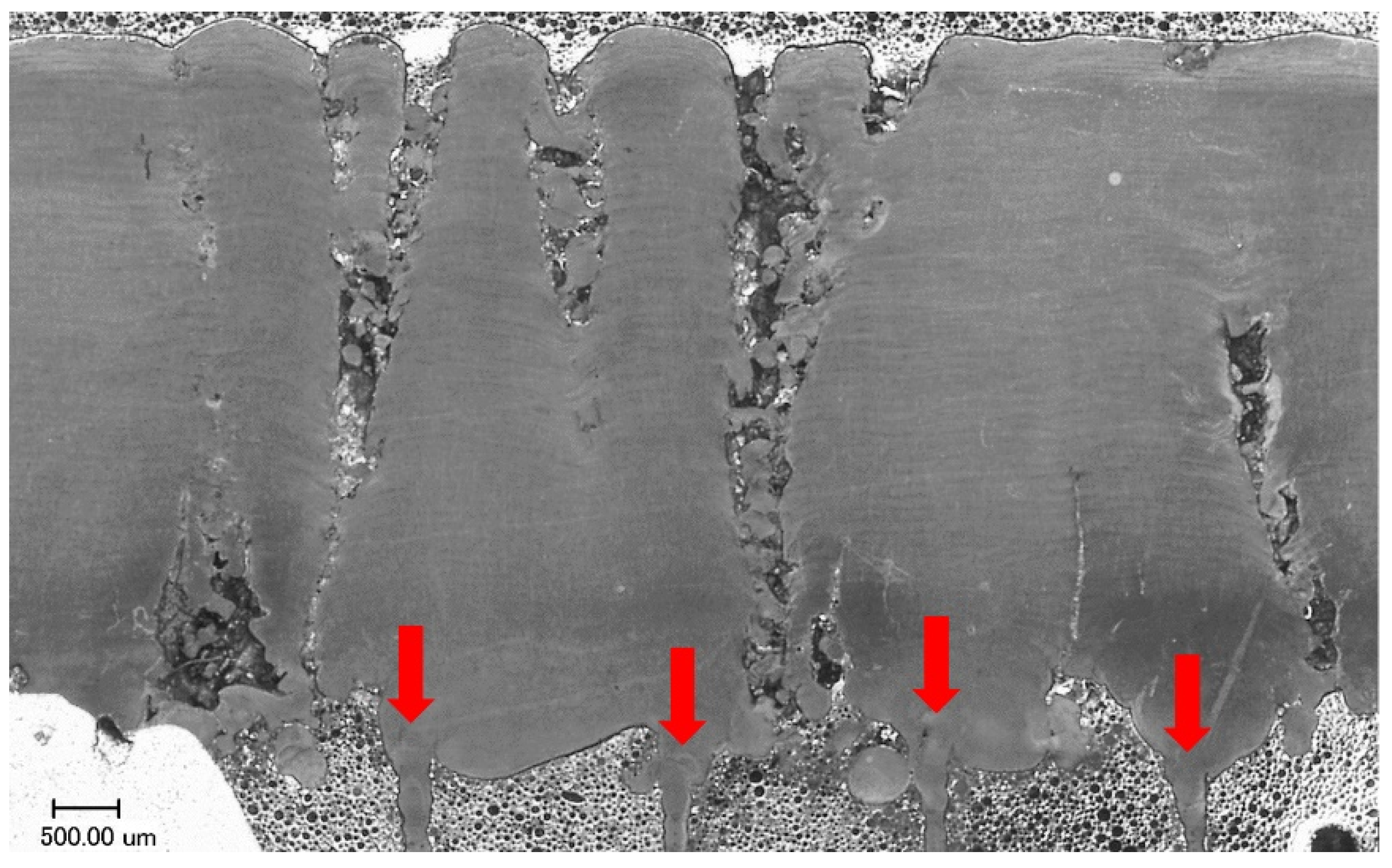 Materials 12 00239 g012