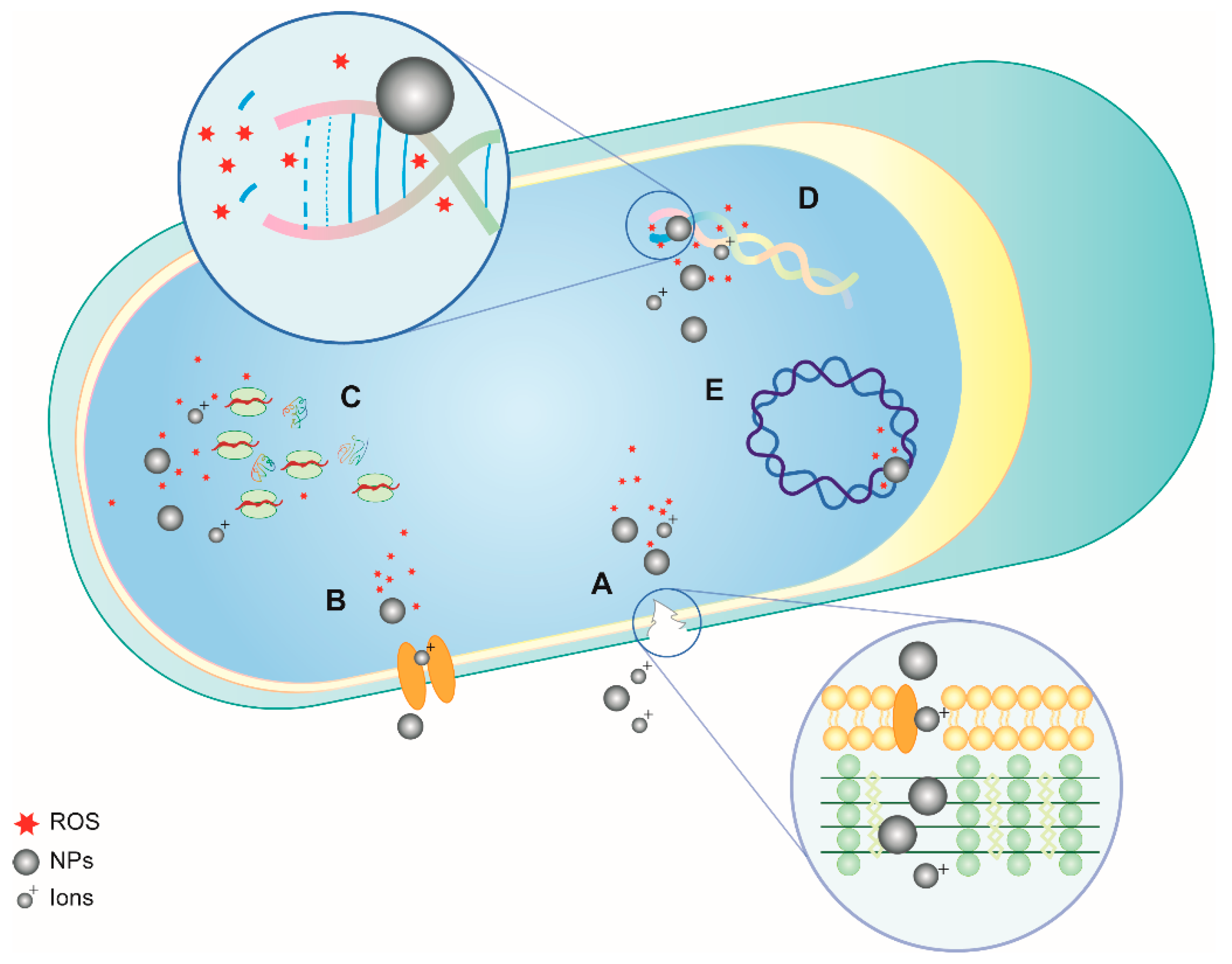 Materials Free Full Text A Precautionary Approach To - 