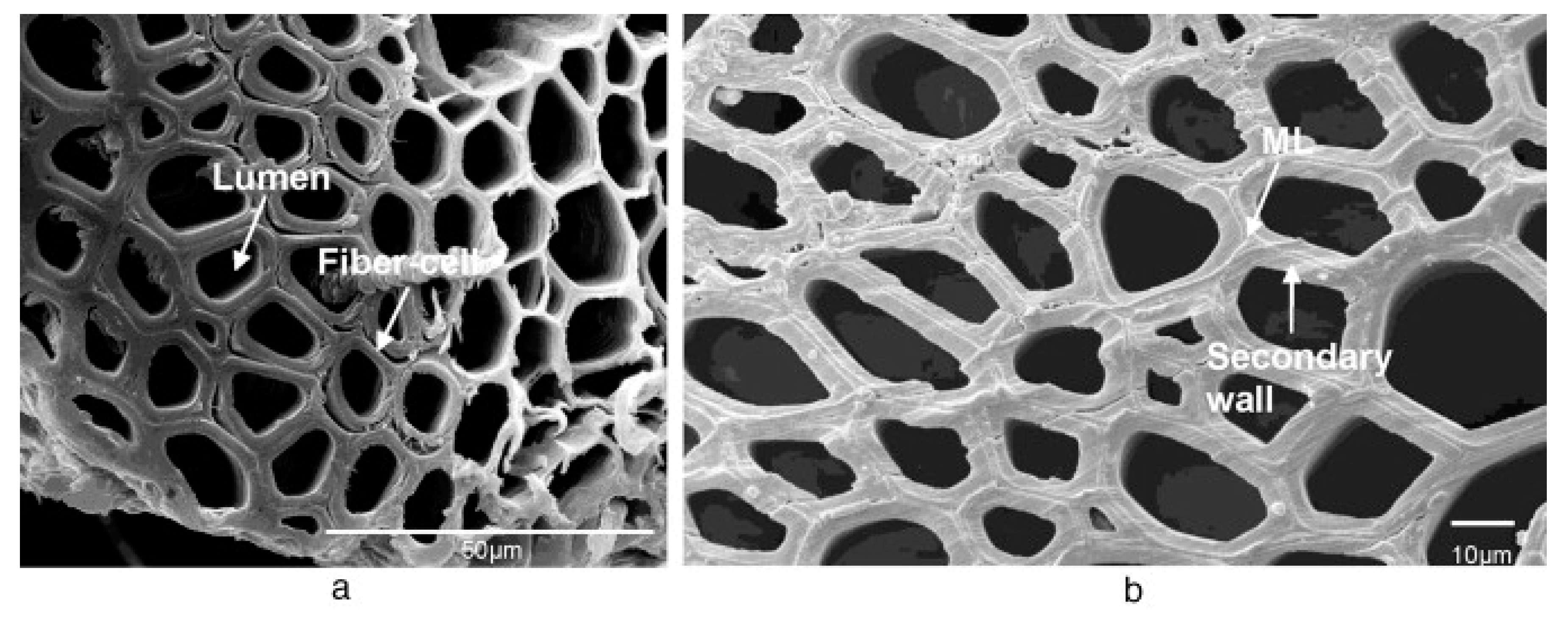 Materials 12 00517 g001 Materials 12 00517 g001